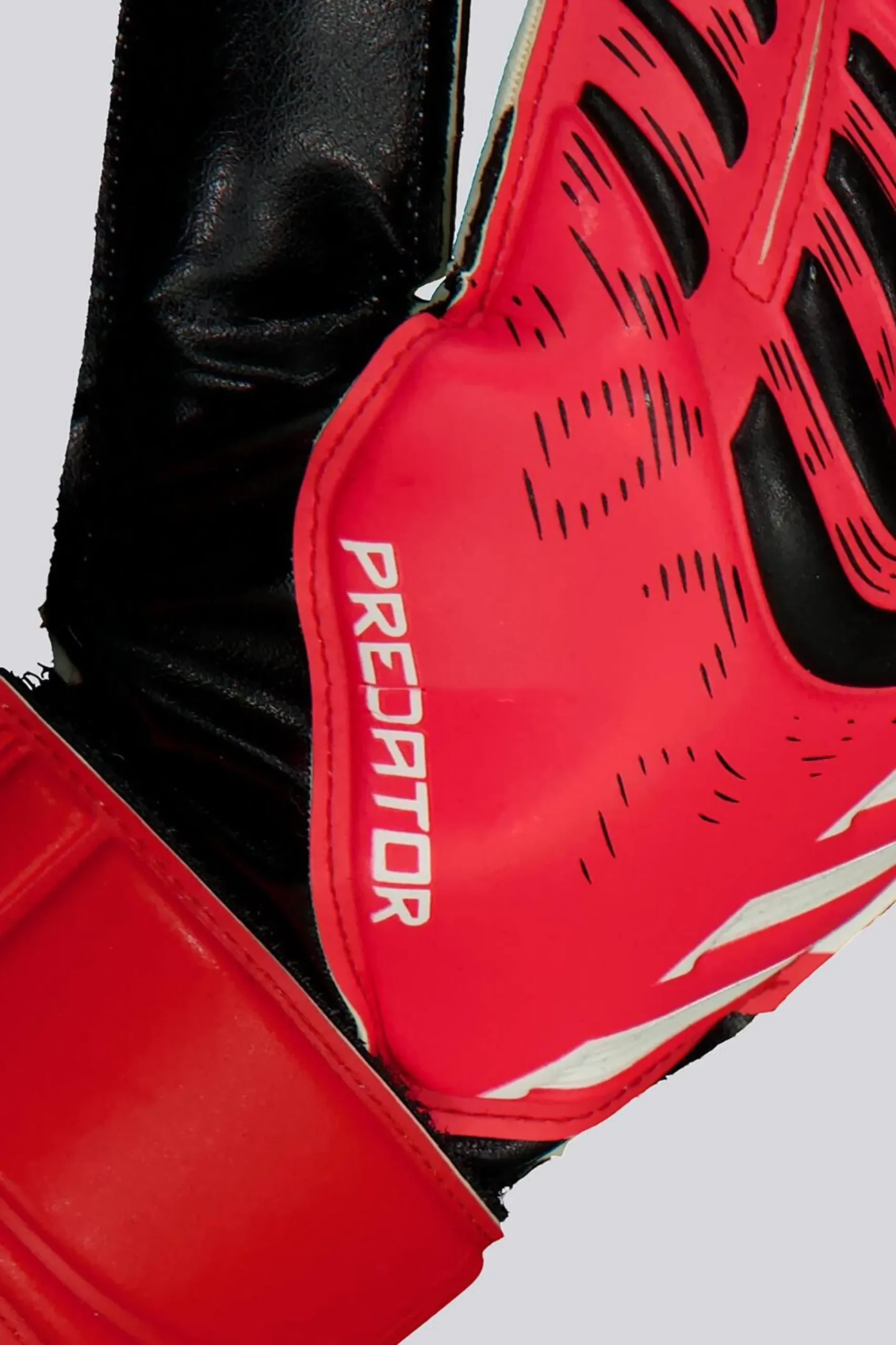 adidas Predator