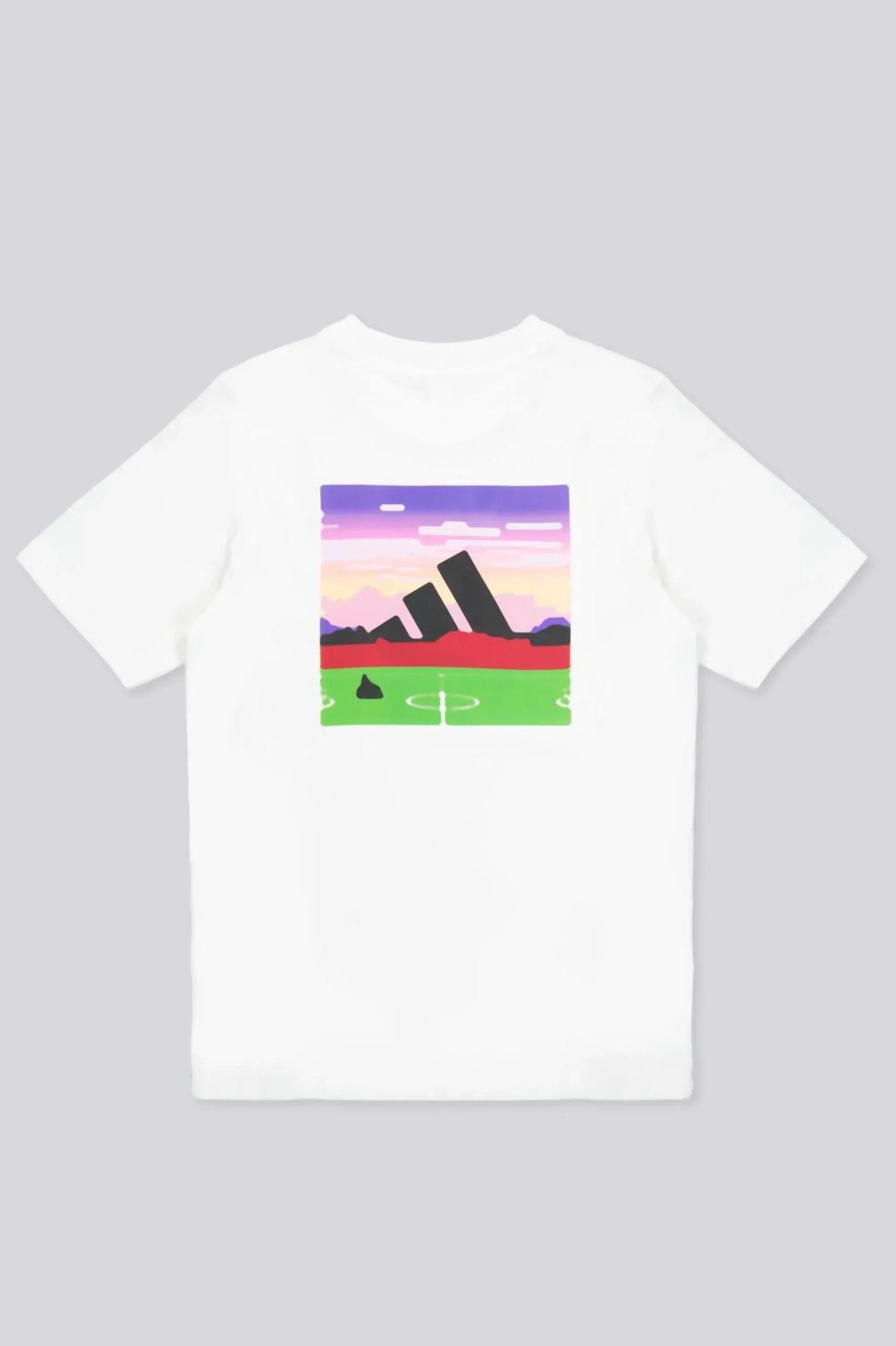 adidas Pro