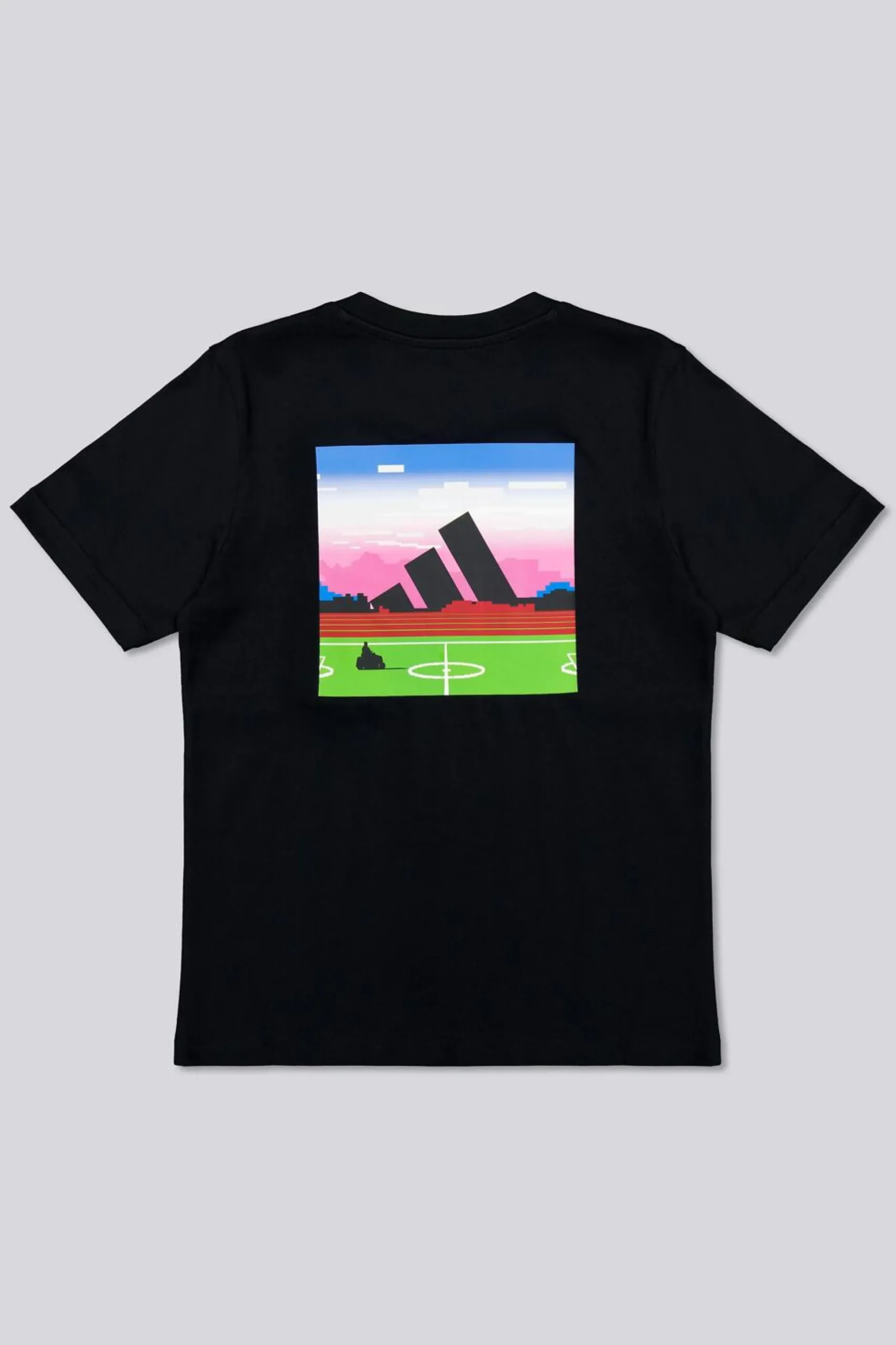 adidas Pro