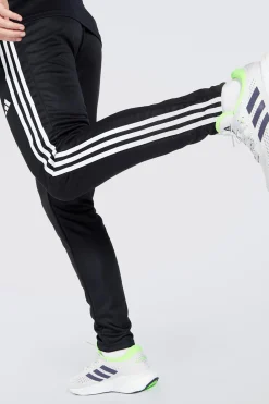 adidas 3s
