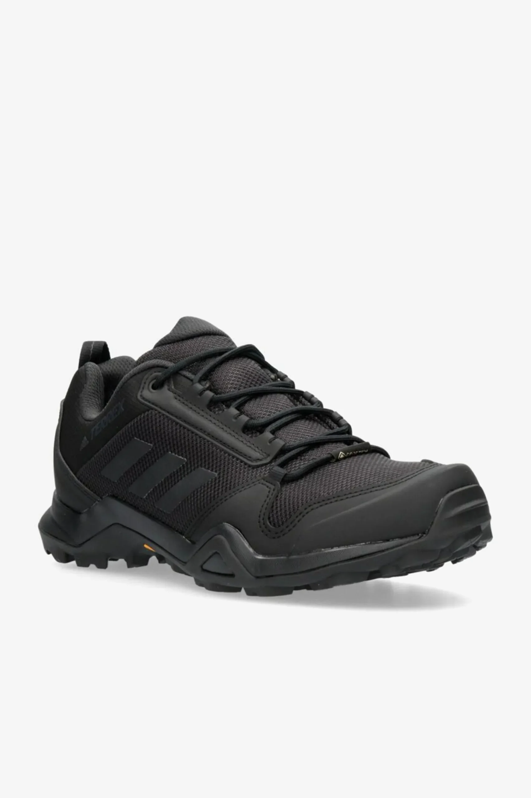 adidas Terrex Ax3 Gtx