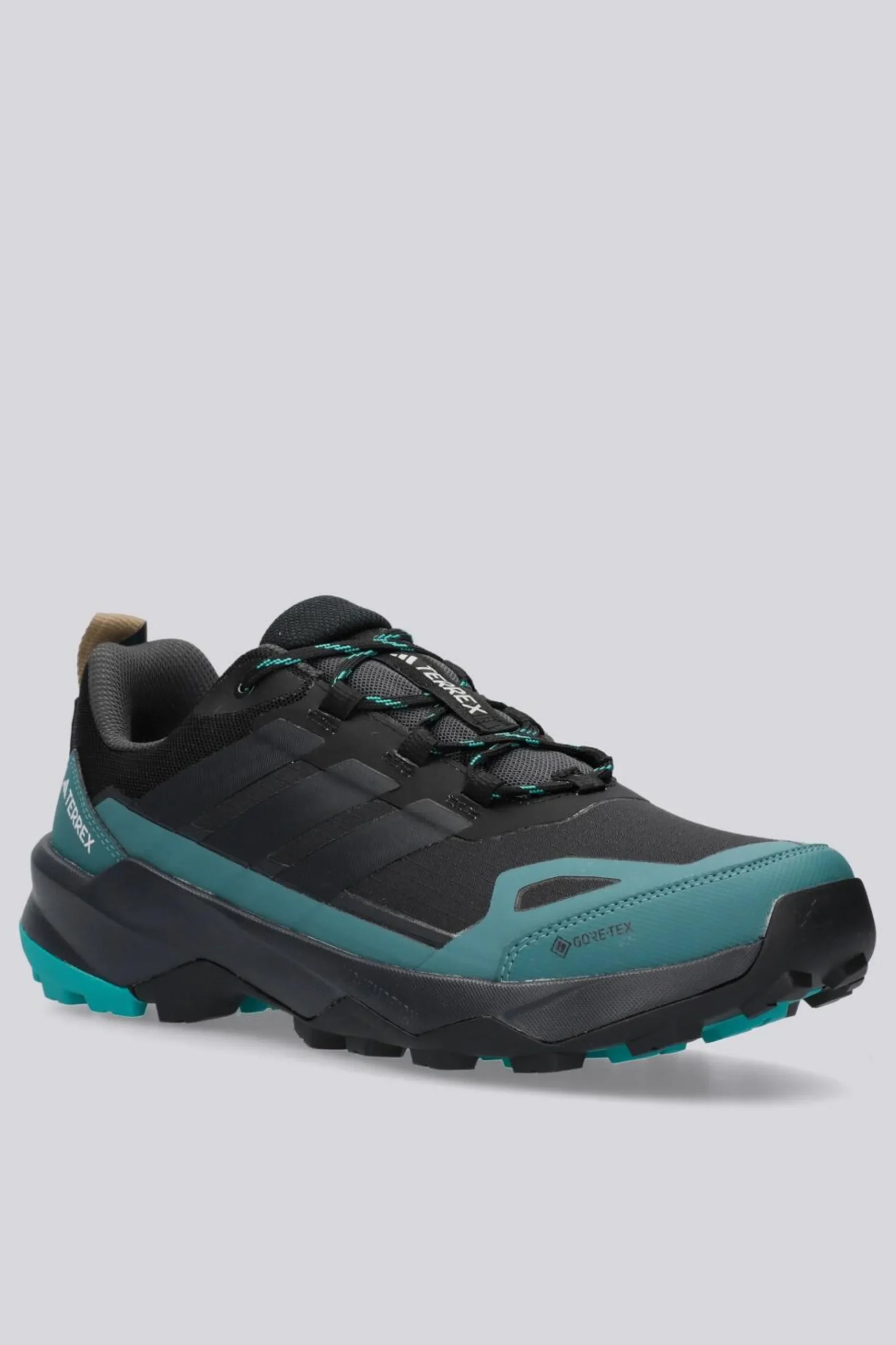 adidas Terrex Skychaser Ax5