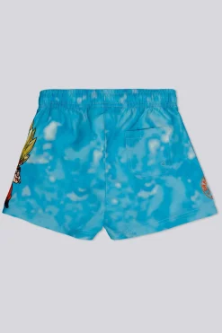 Bañador Dragon Ball
