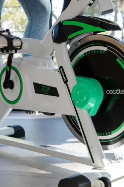 Bicicleta Spinning Cecotec Profesional Extreme X