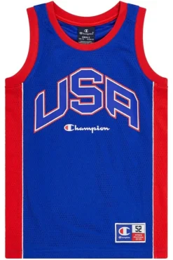 Camiseta Champion Junior Royal Usa Legacy