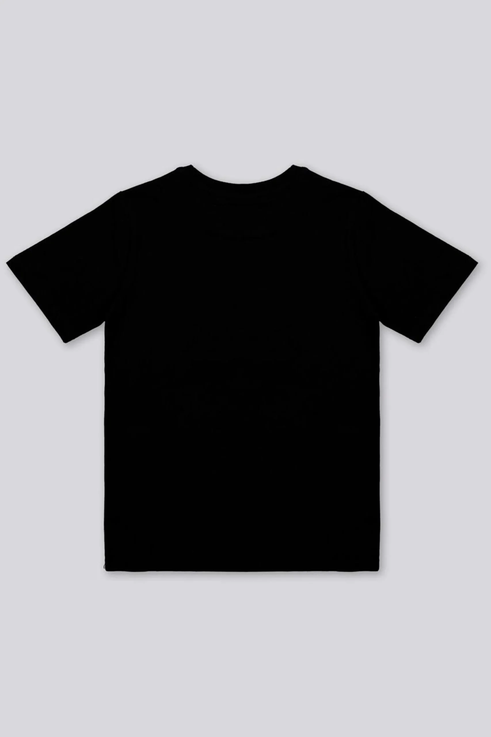 Camiseta Minecraft