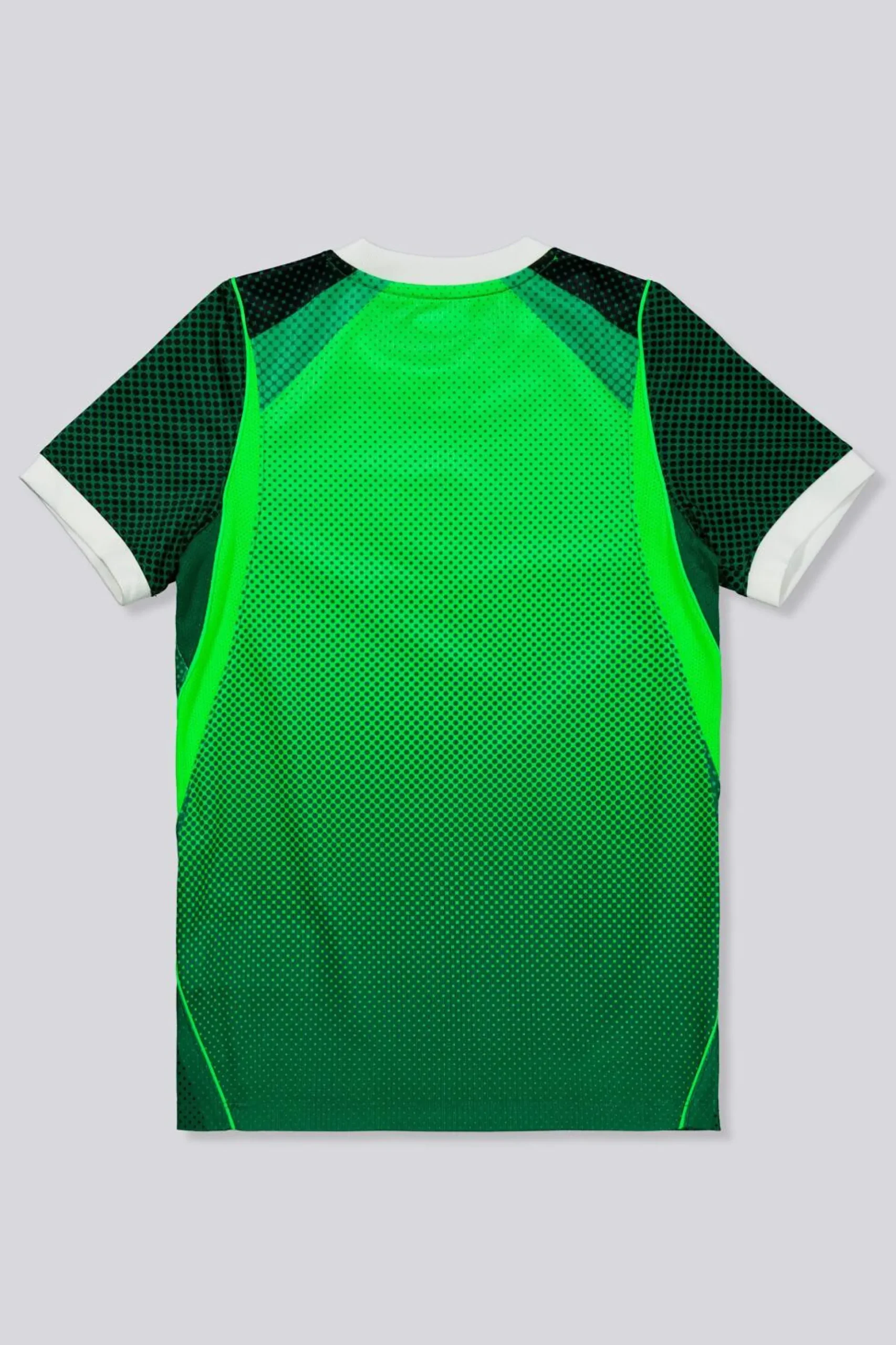 2ª Camiseta Nigeria Mundial 2026