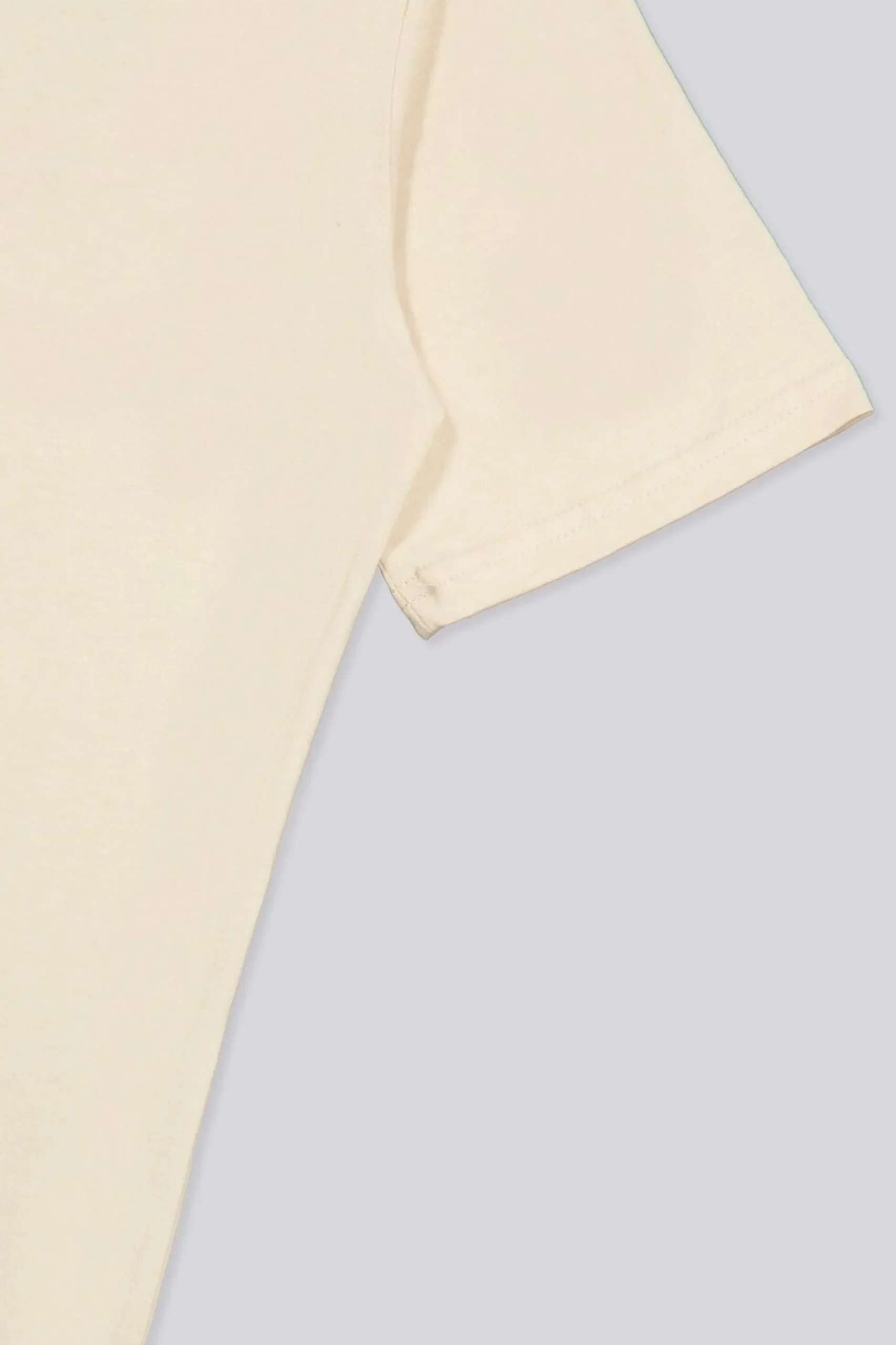 Camiseta Pokemon