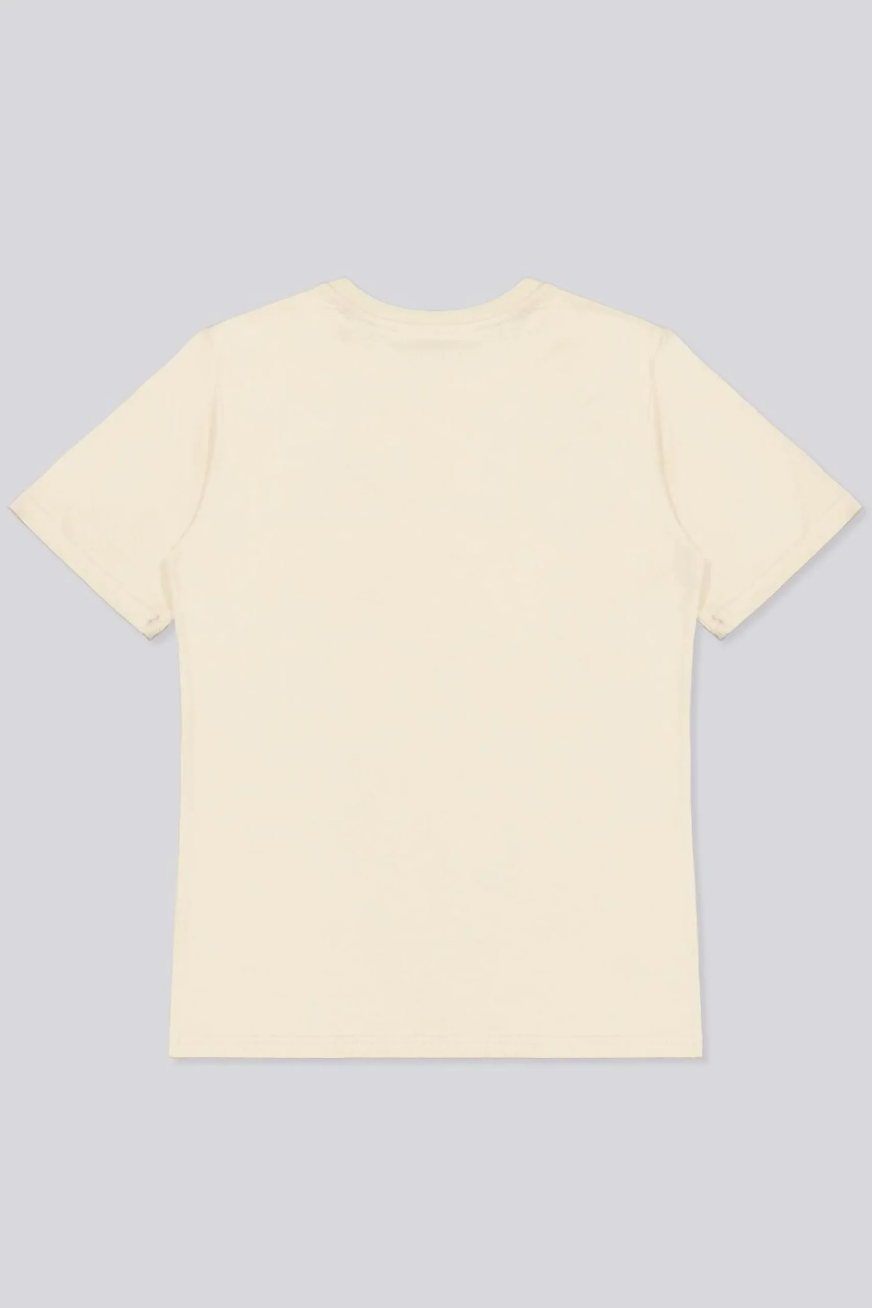 Camiseta Pokemon
