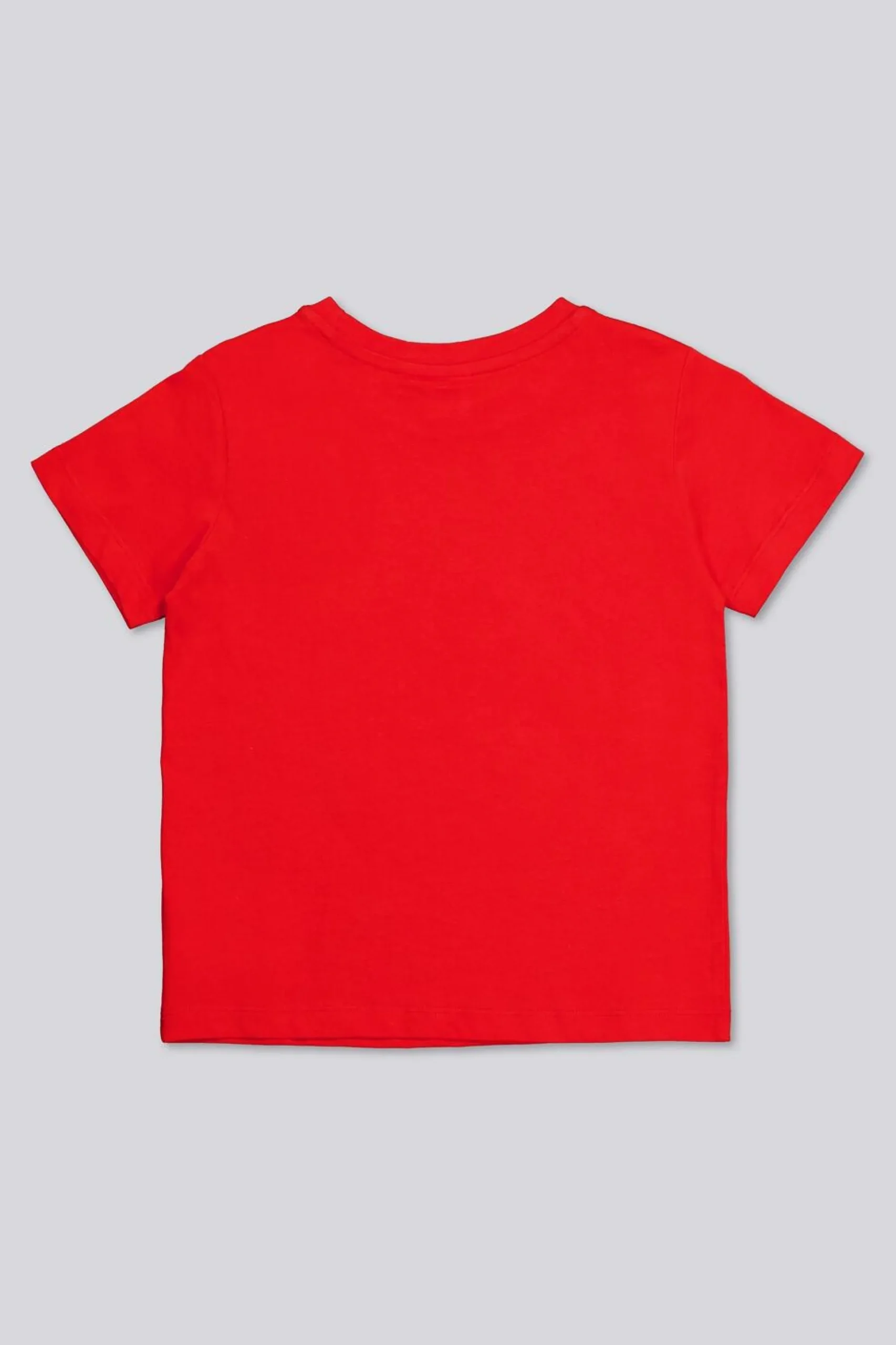 Camiseta Spiderman