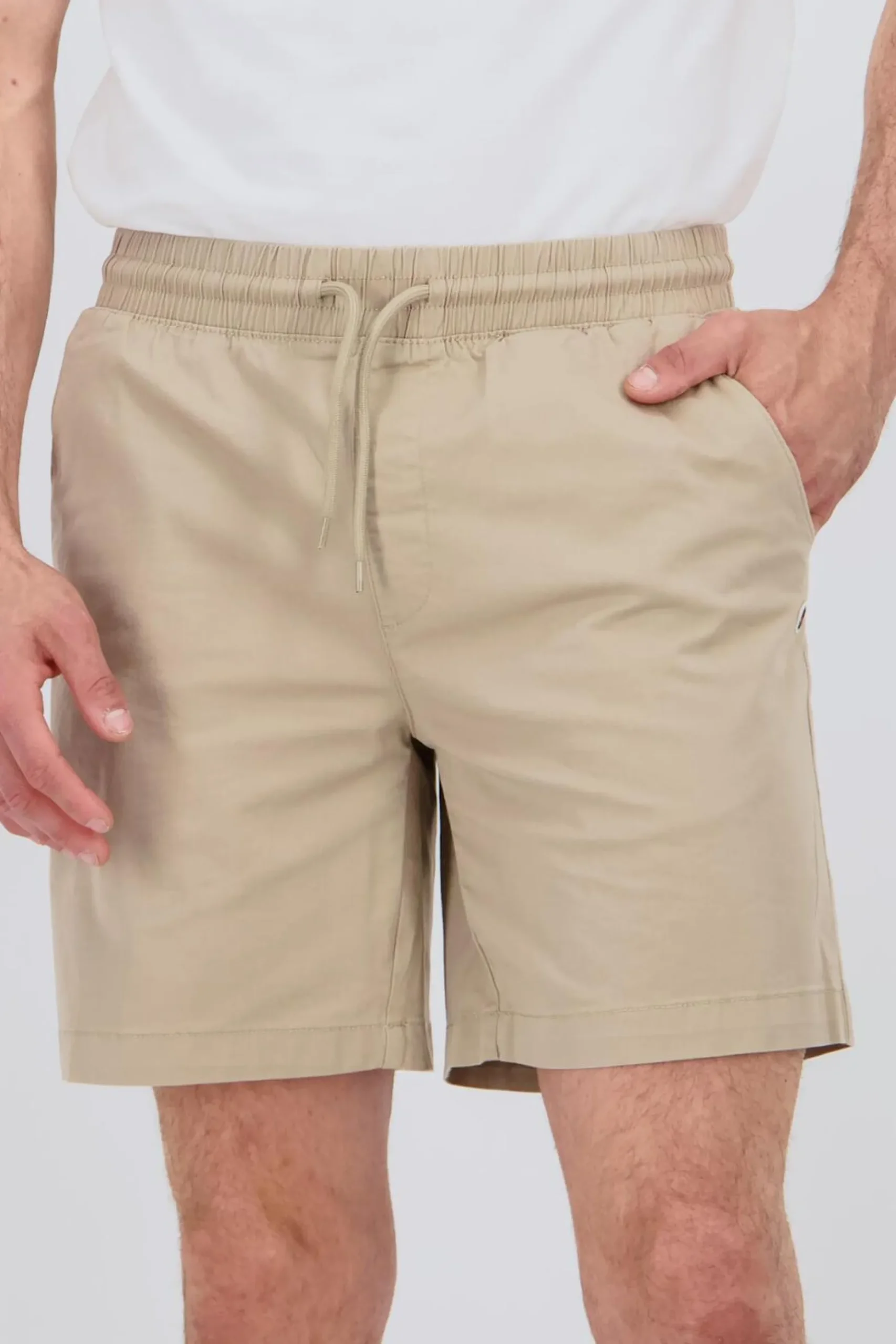 Champion Chino