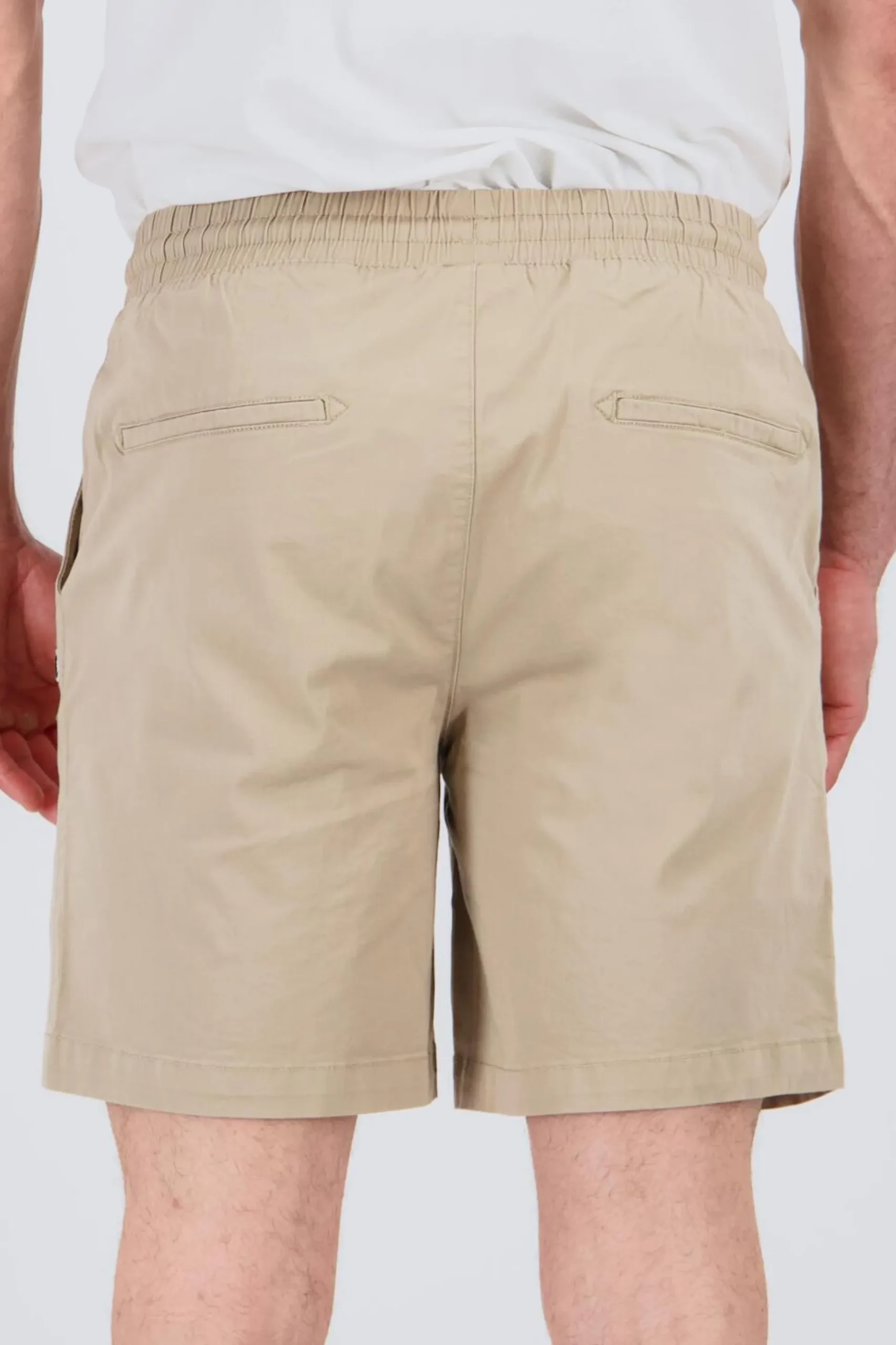 Champion Chino
