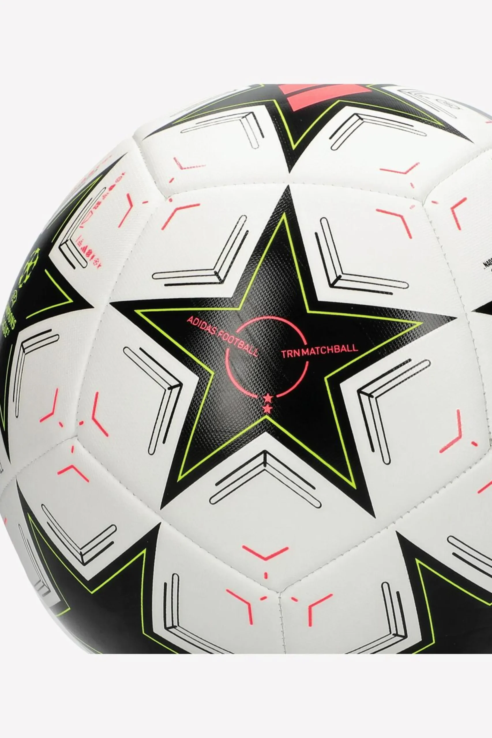 Champions League Trainer 24/25
