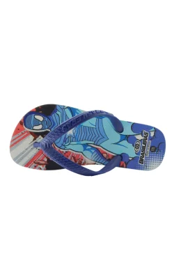 Chanclas De Playa Brasileras,printed 21 Iron