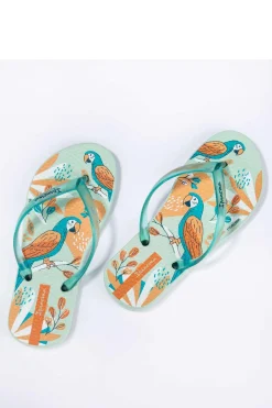 Chanclas Ipanema Temas Kids