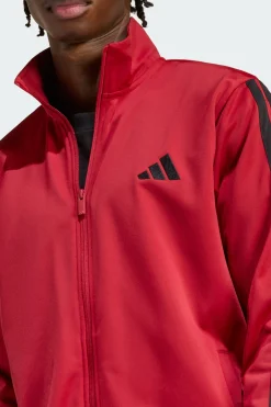 Chándal Dayready adidas