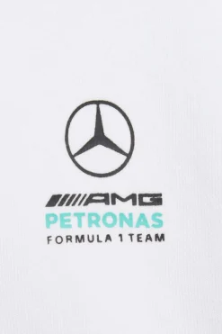 Chándal Manga Larga Mercedes - Amg Petronas Formula 1 Team Dna adidas