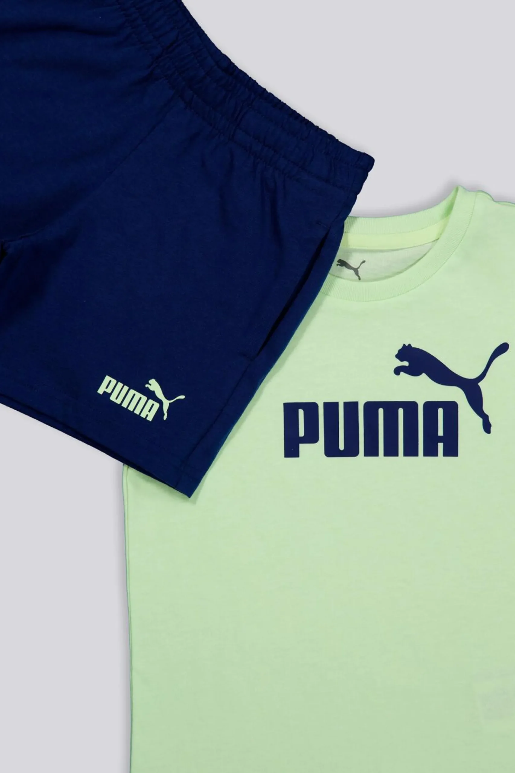 Conjunto Puma
