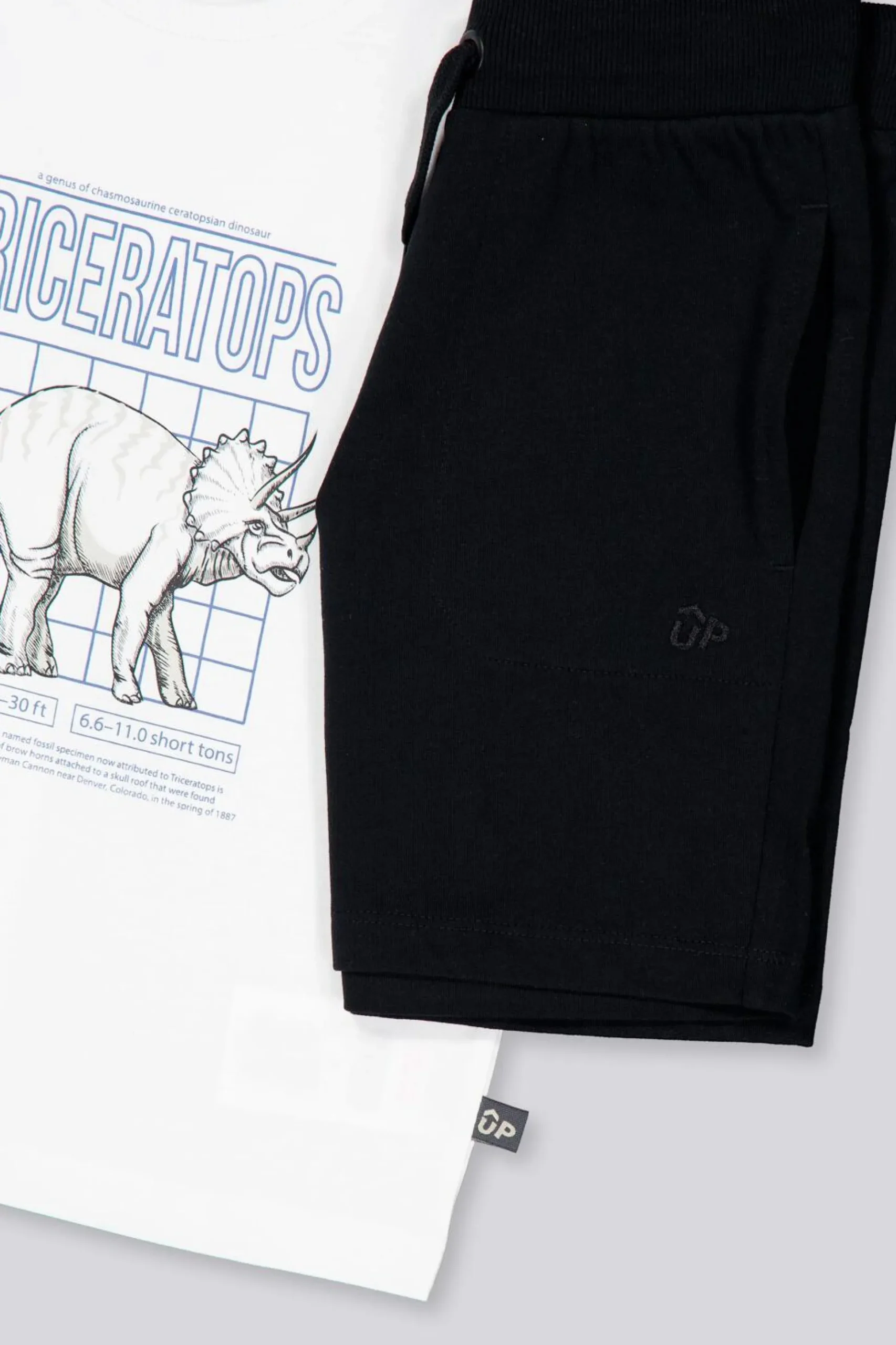 Conjunto Up
