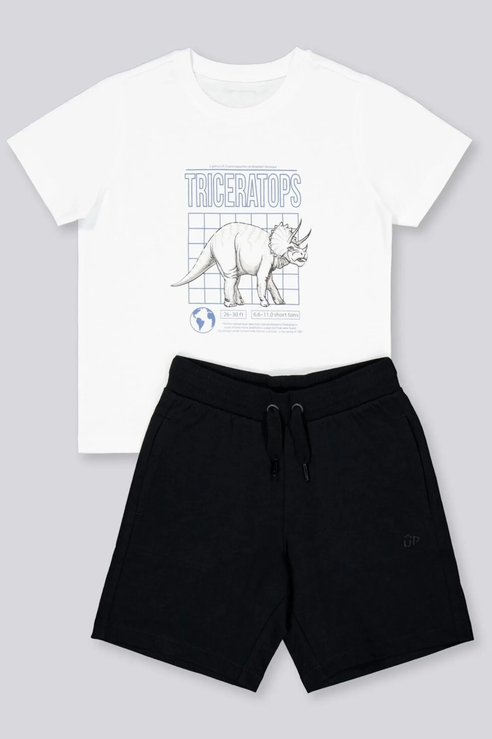 Conjunto Up