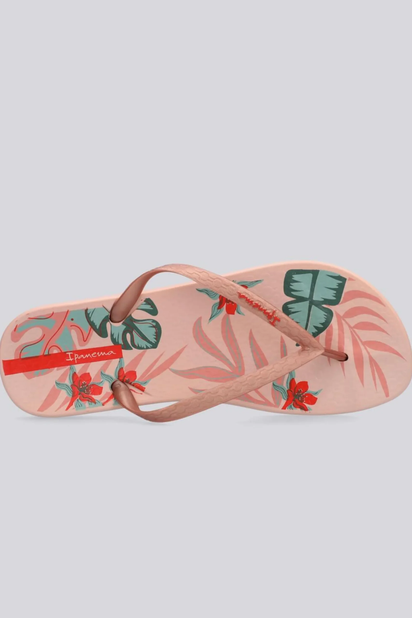 Ipanema Anatomica