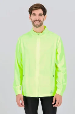 Ipso Basic