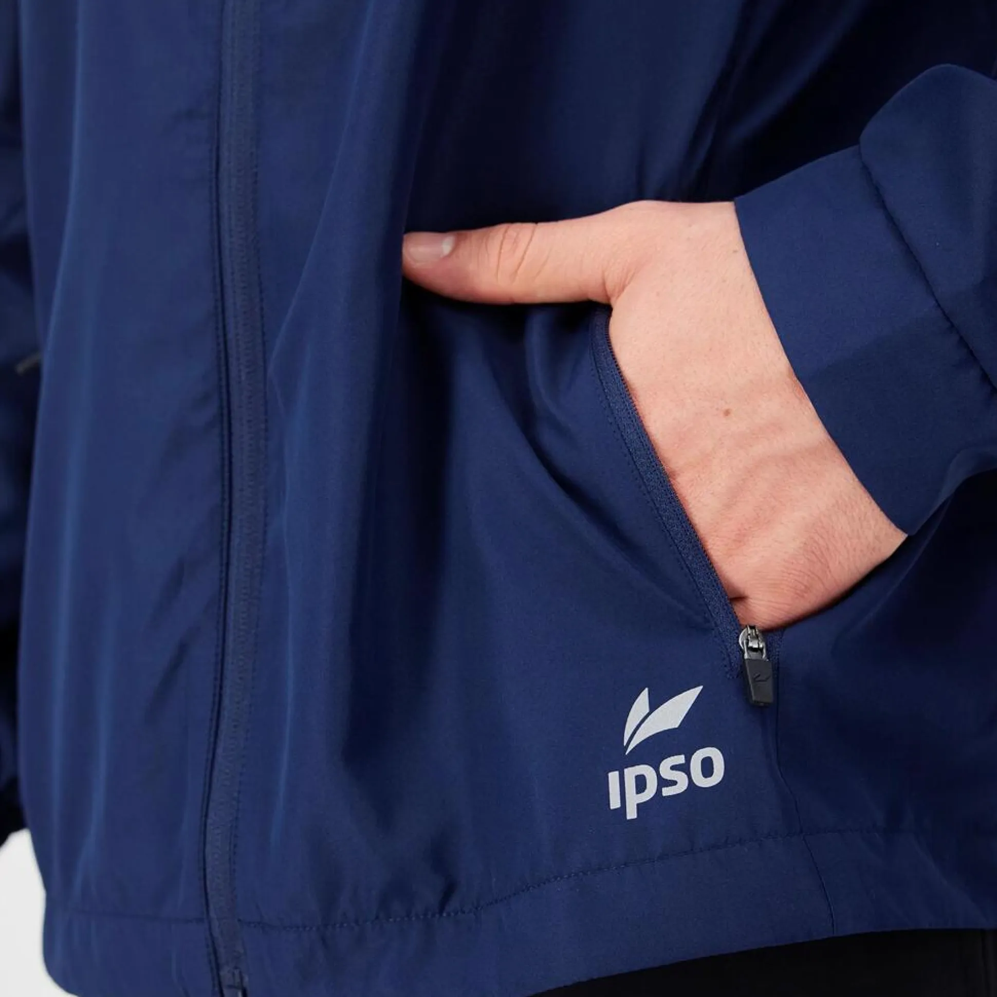 Ipso Basic Wp