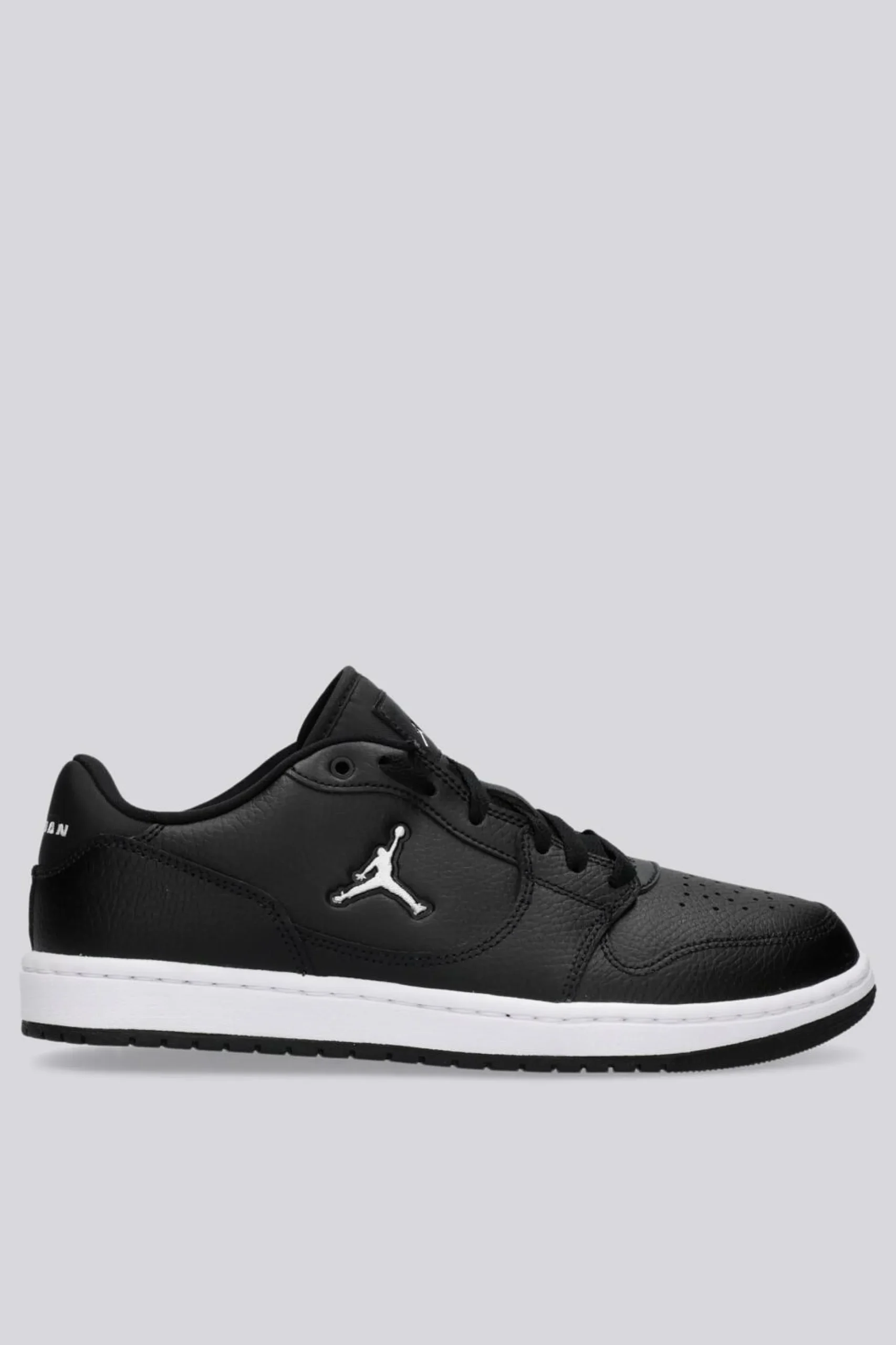 Jordan Acces Court Low