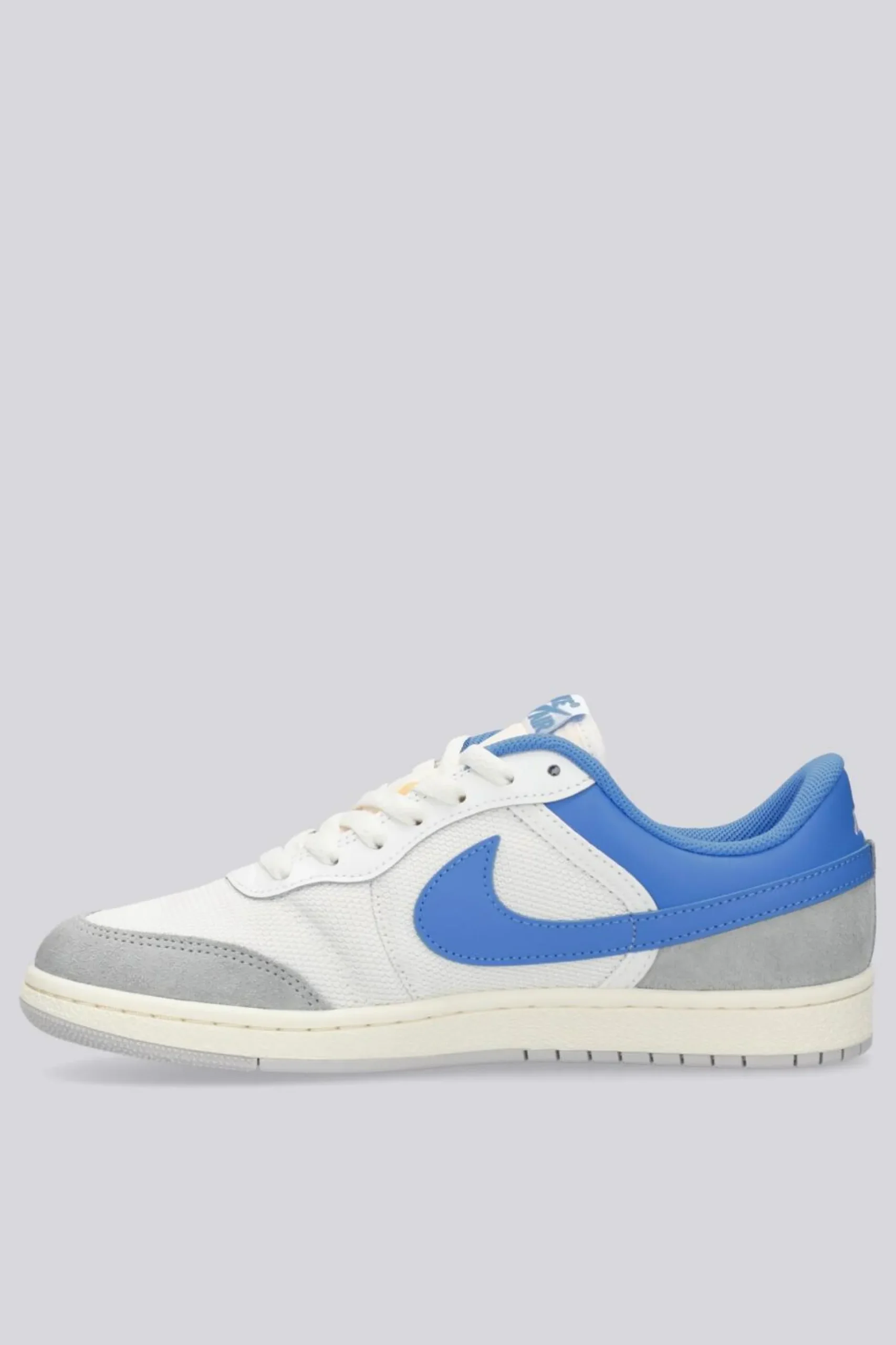 Jordan Skyline Low