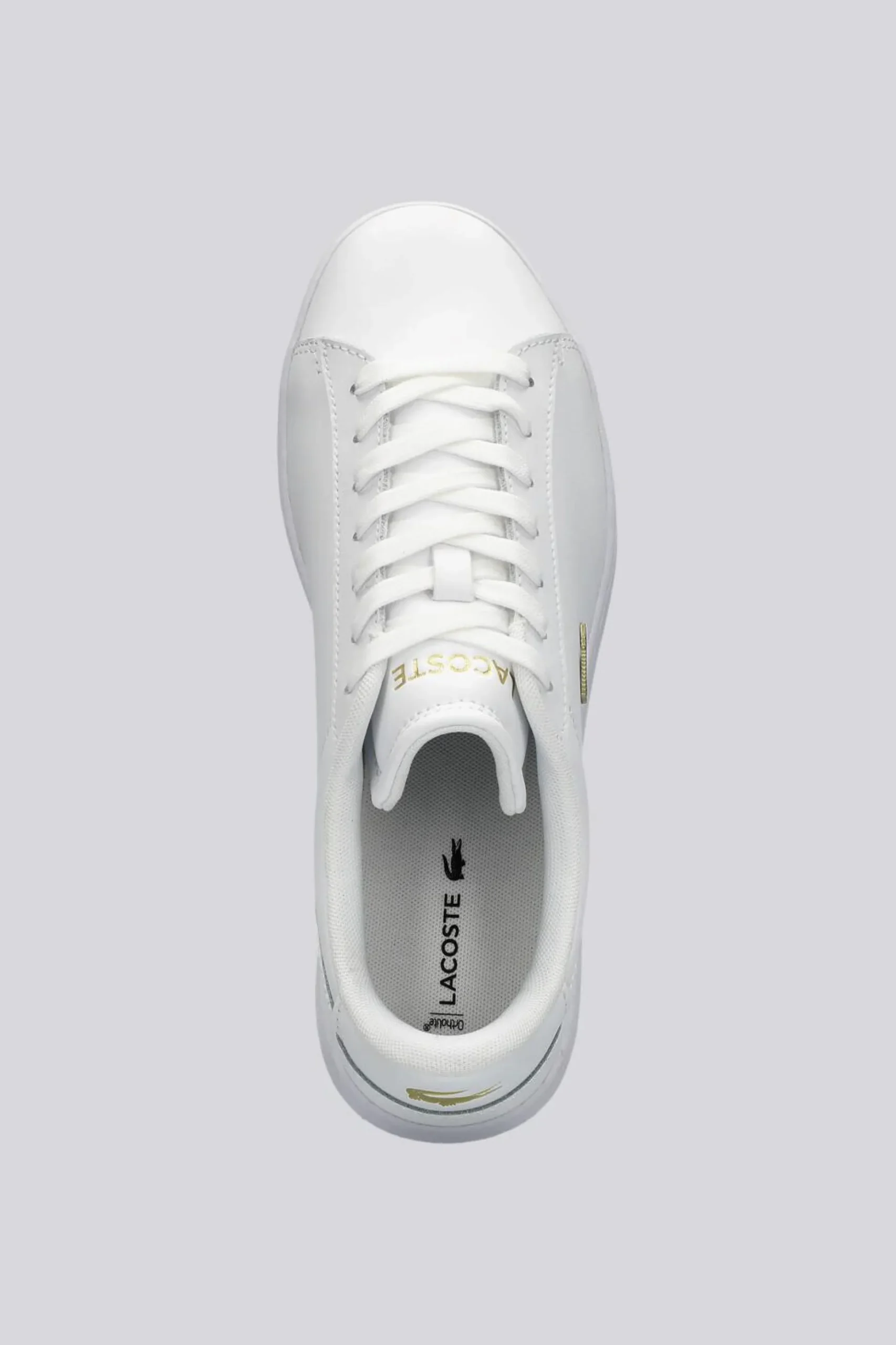 Lacoste Carnaby