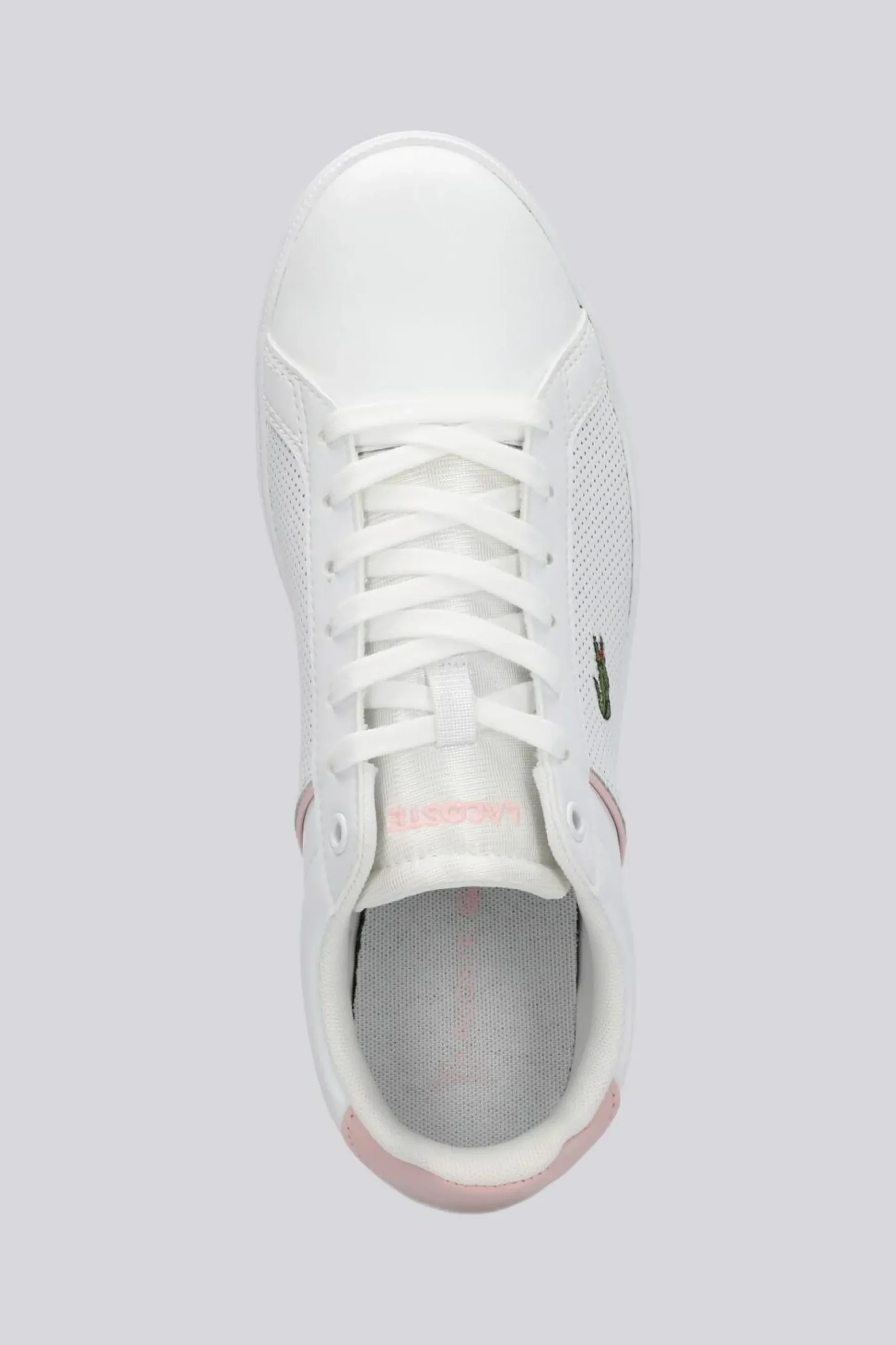 Lacoste Lite Base