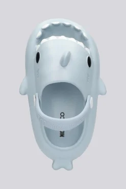 Nicoboco Shark