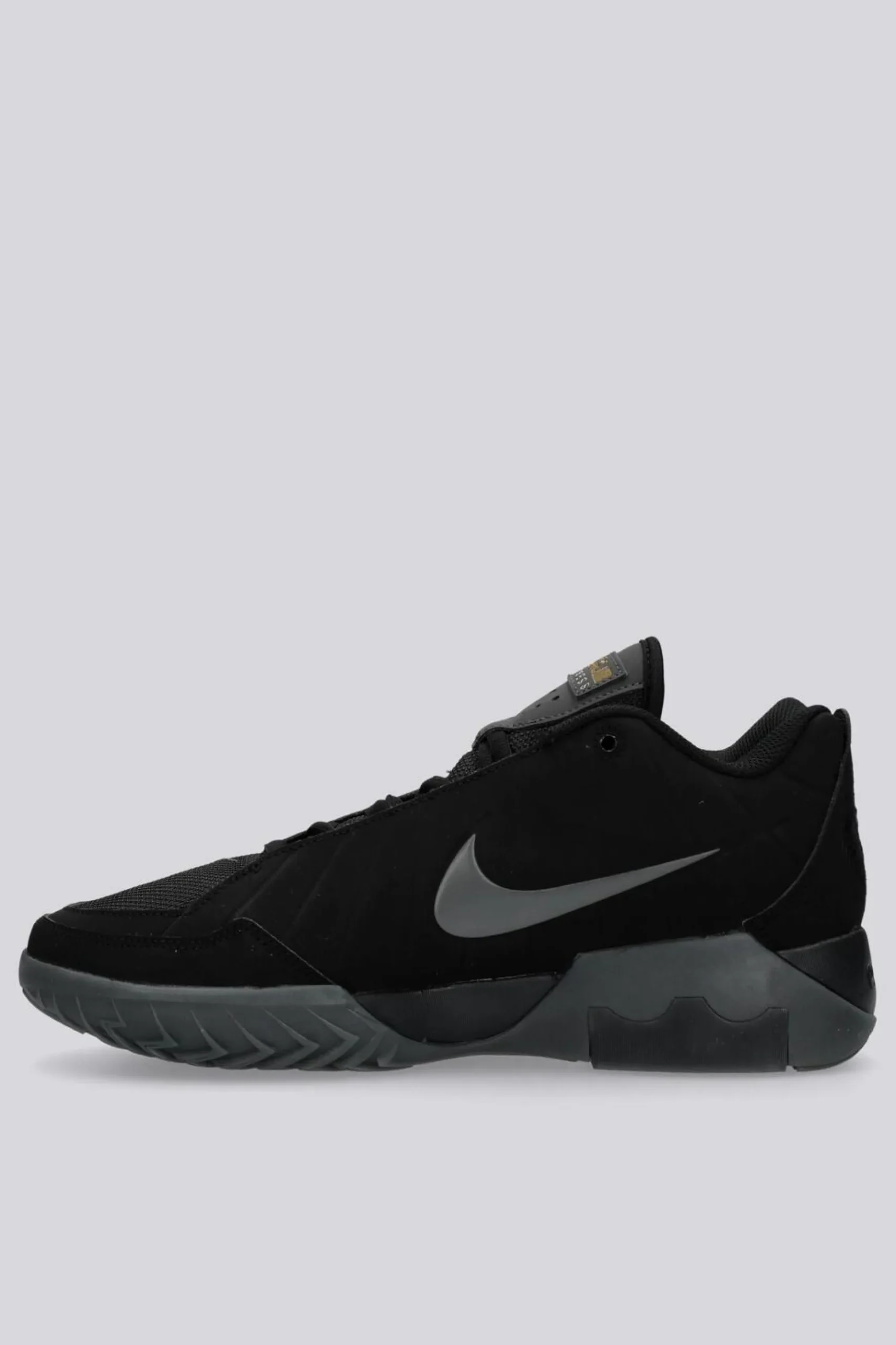 Nike Lebron Witness 9