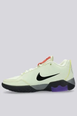 Nike Lebron Witness 9