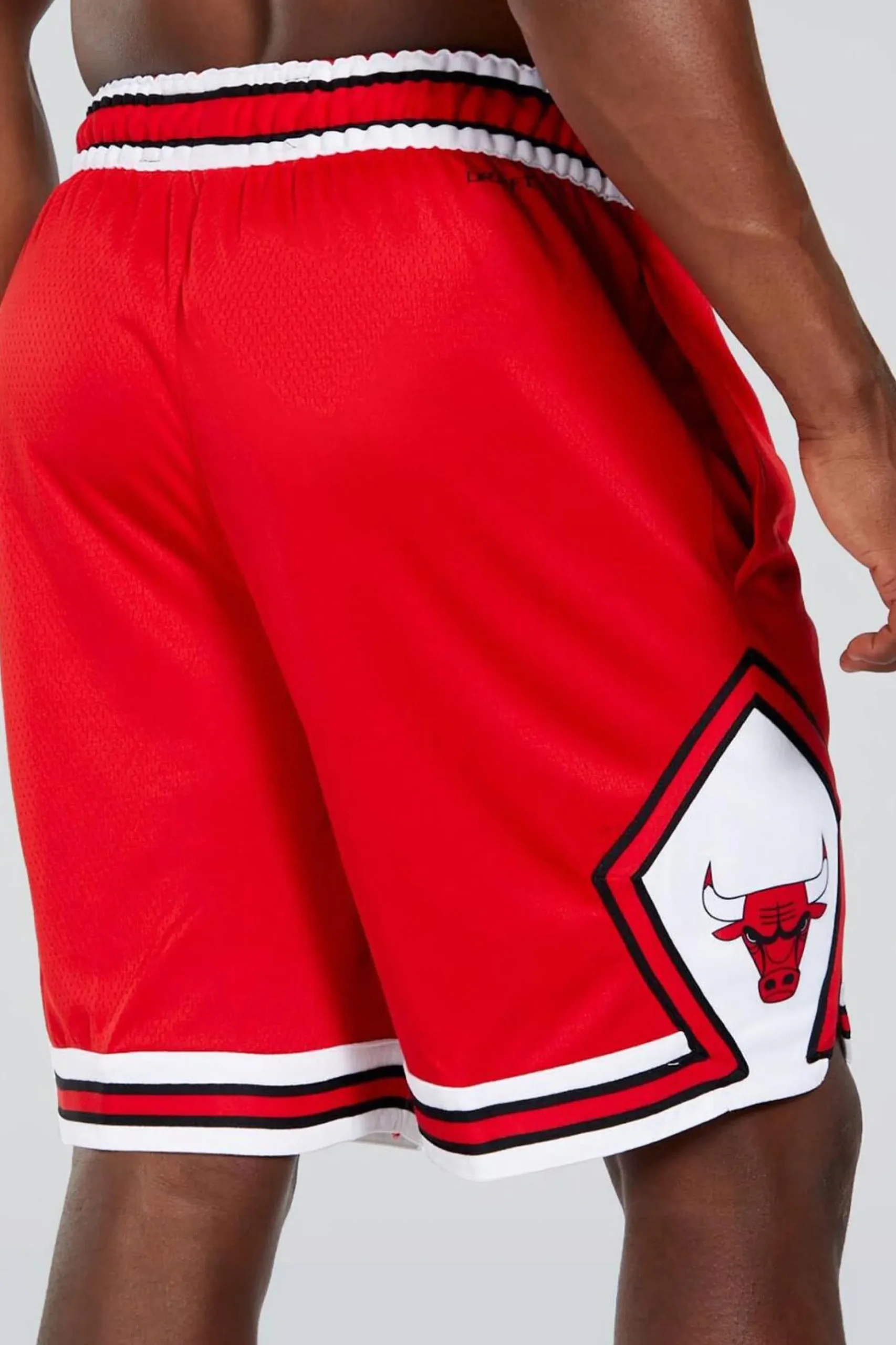 Nike NBA Chicago Bulls