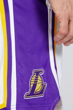Nike NBA Los Angeles Lakers