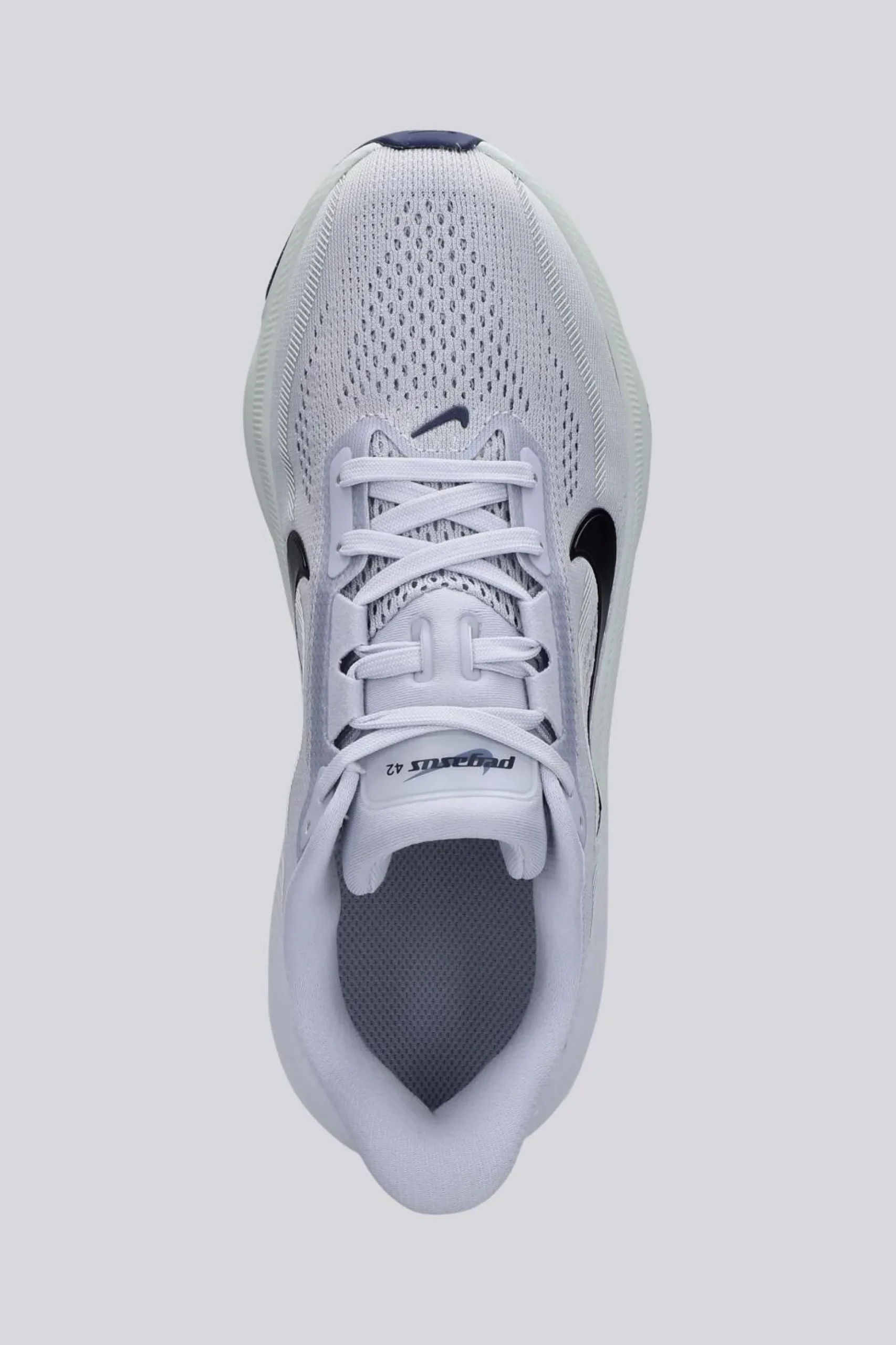 Nike Pegasus 42