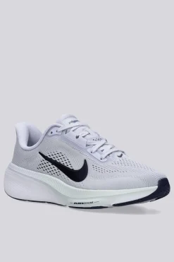 Nike Pegasus 42