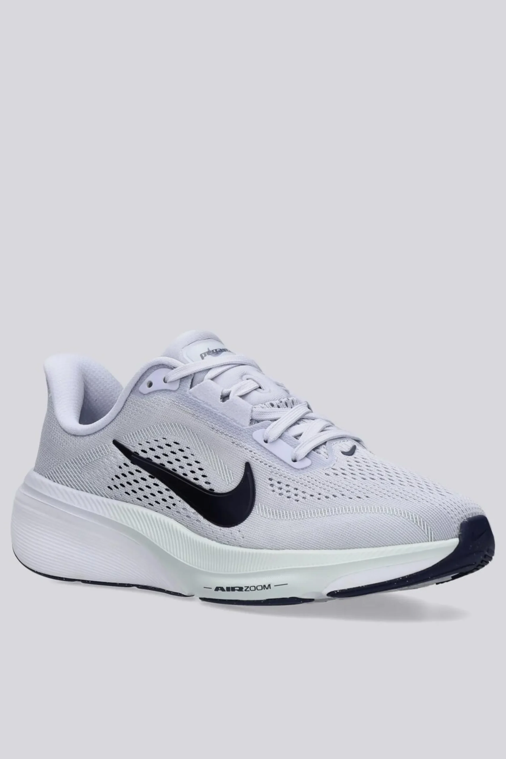 Nike Pegasus 42