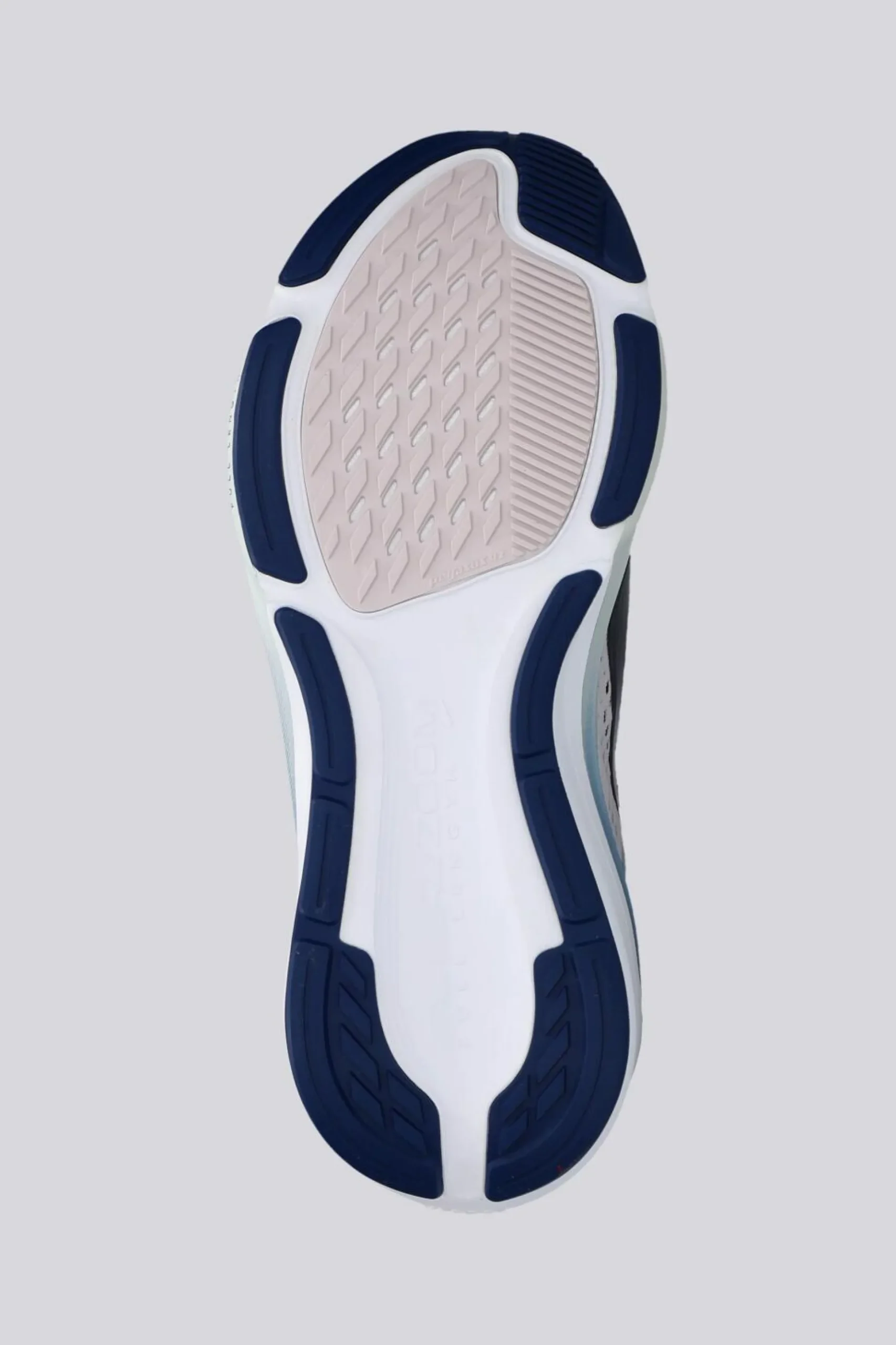 Nike Pegasus 42