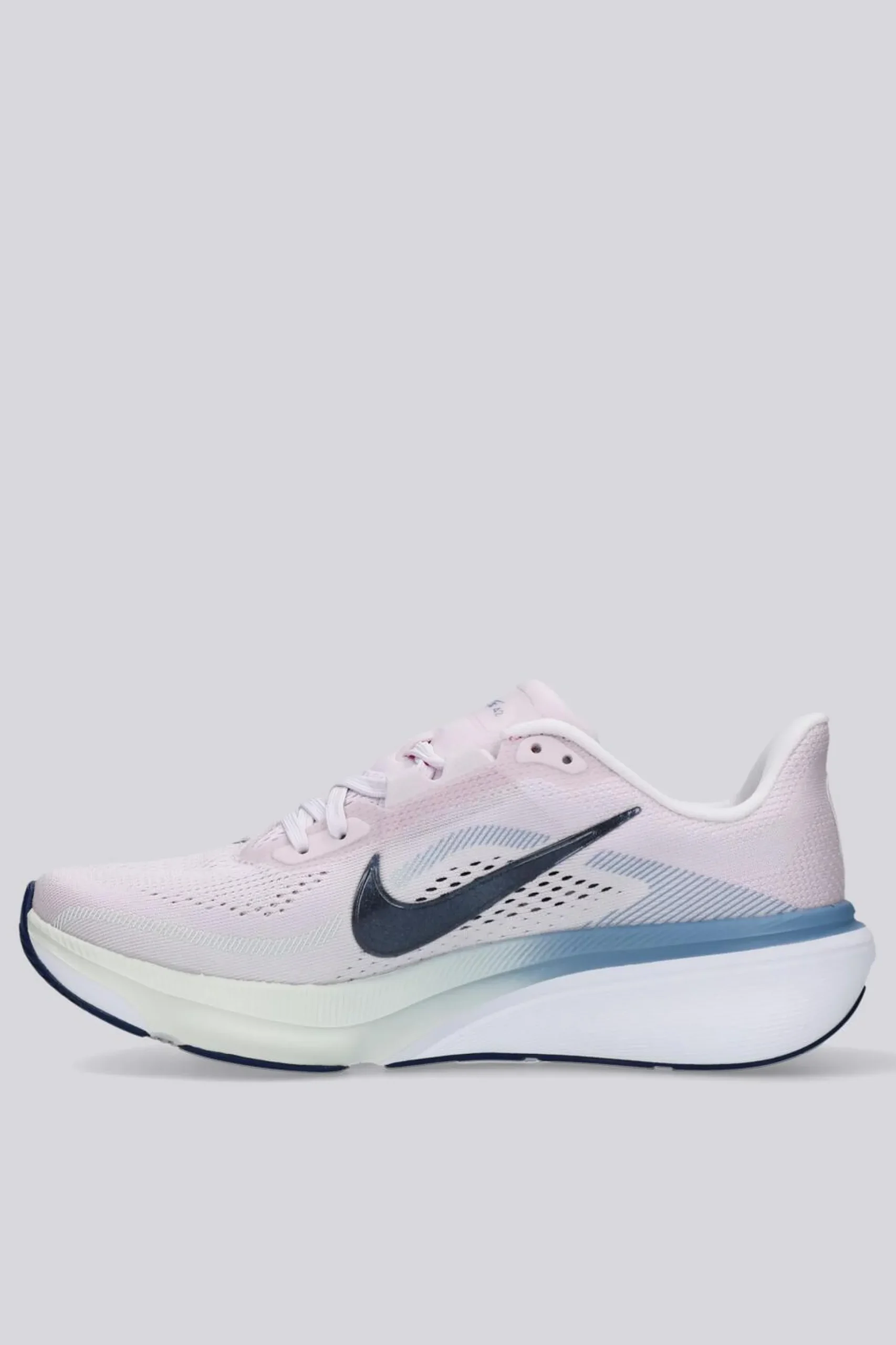 Nike Pegasus 42