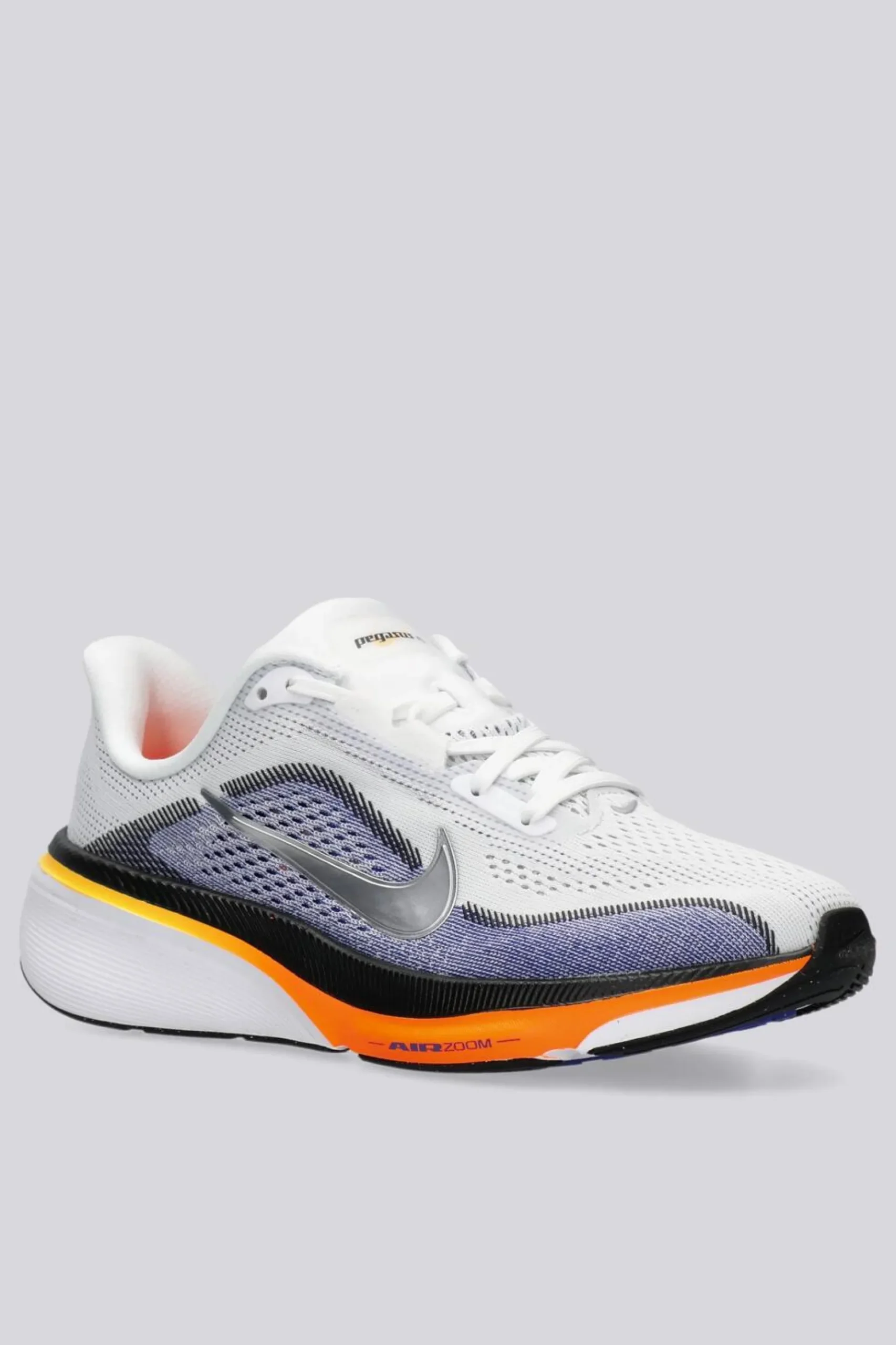 Nike Pegasus 42