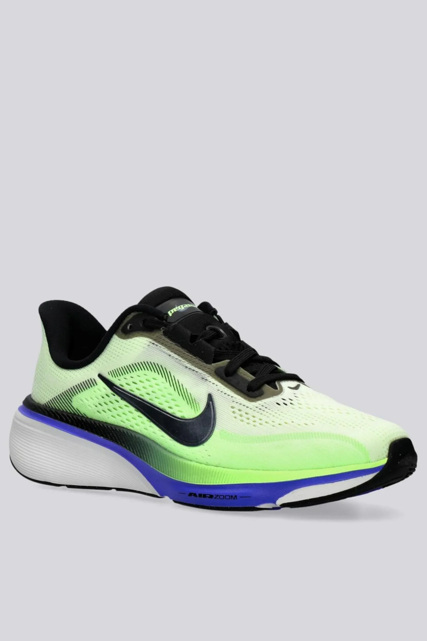 Nike Pegasus 42