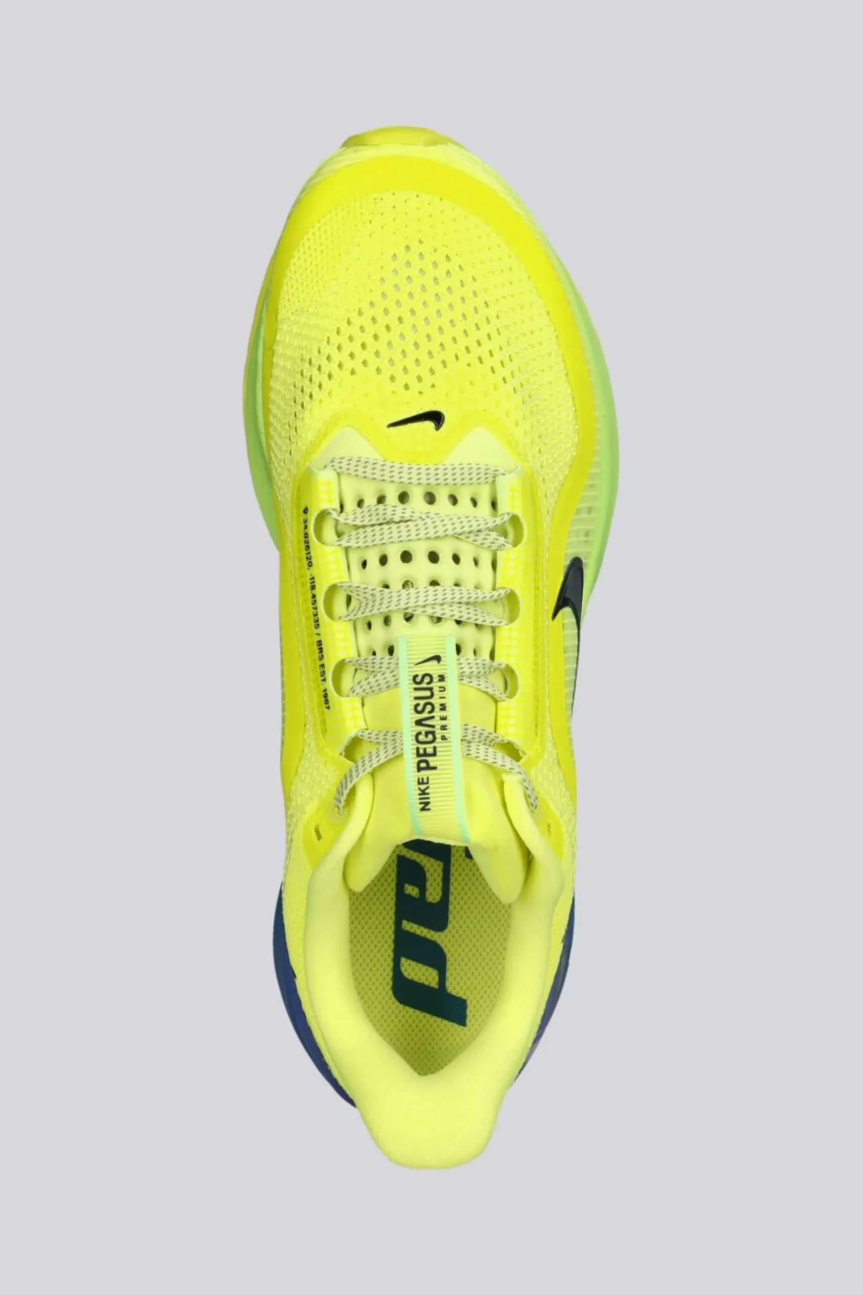 Nike Pegasus Premium