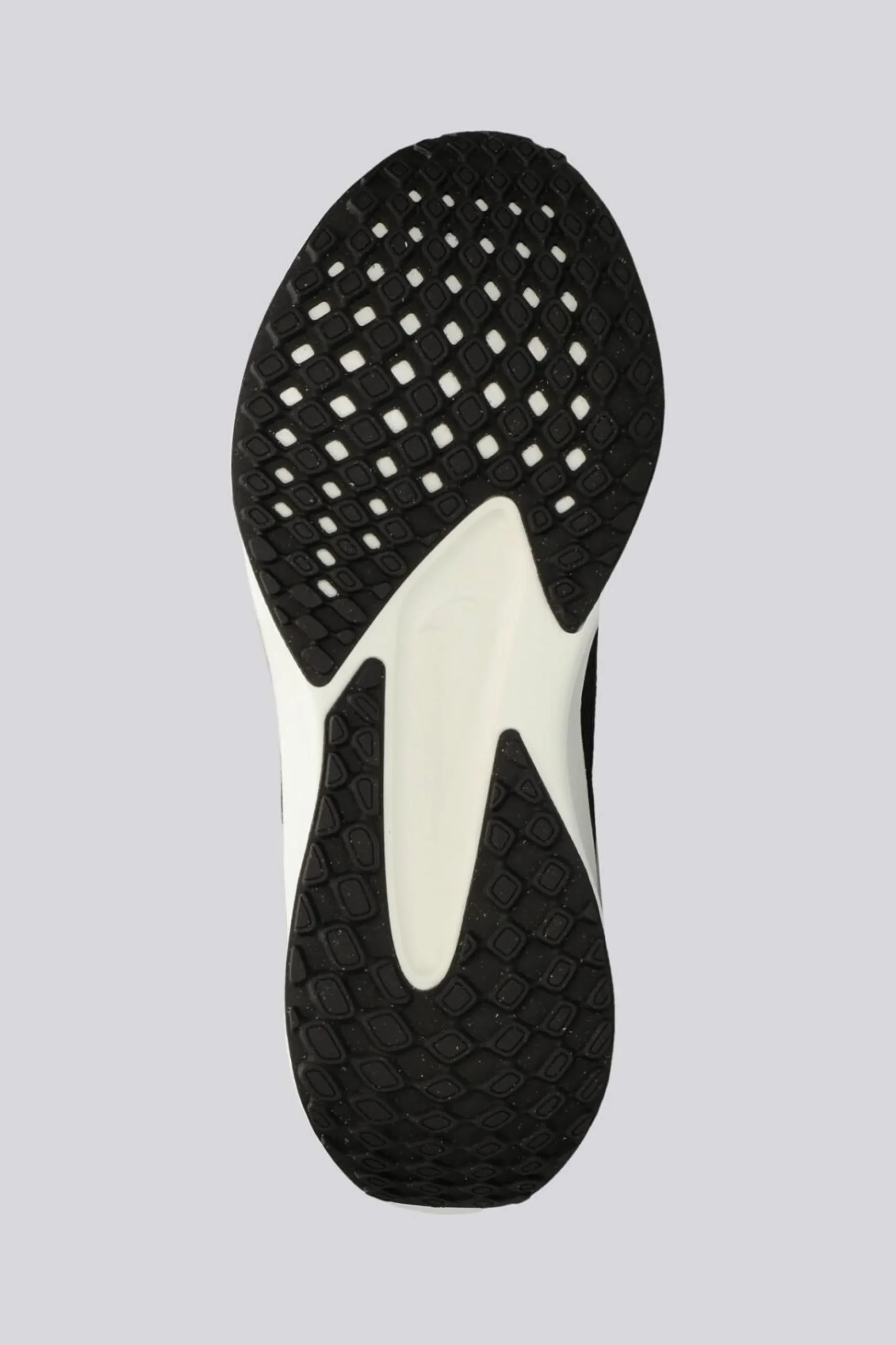 Nike Quest 6