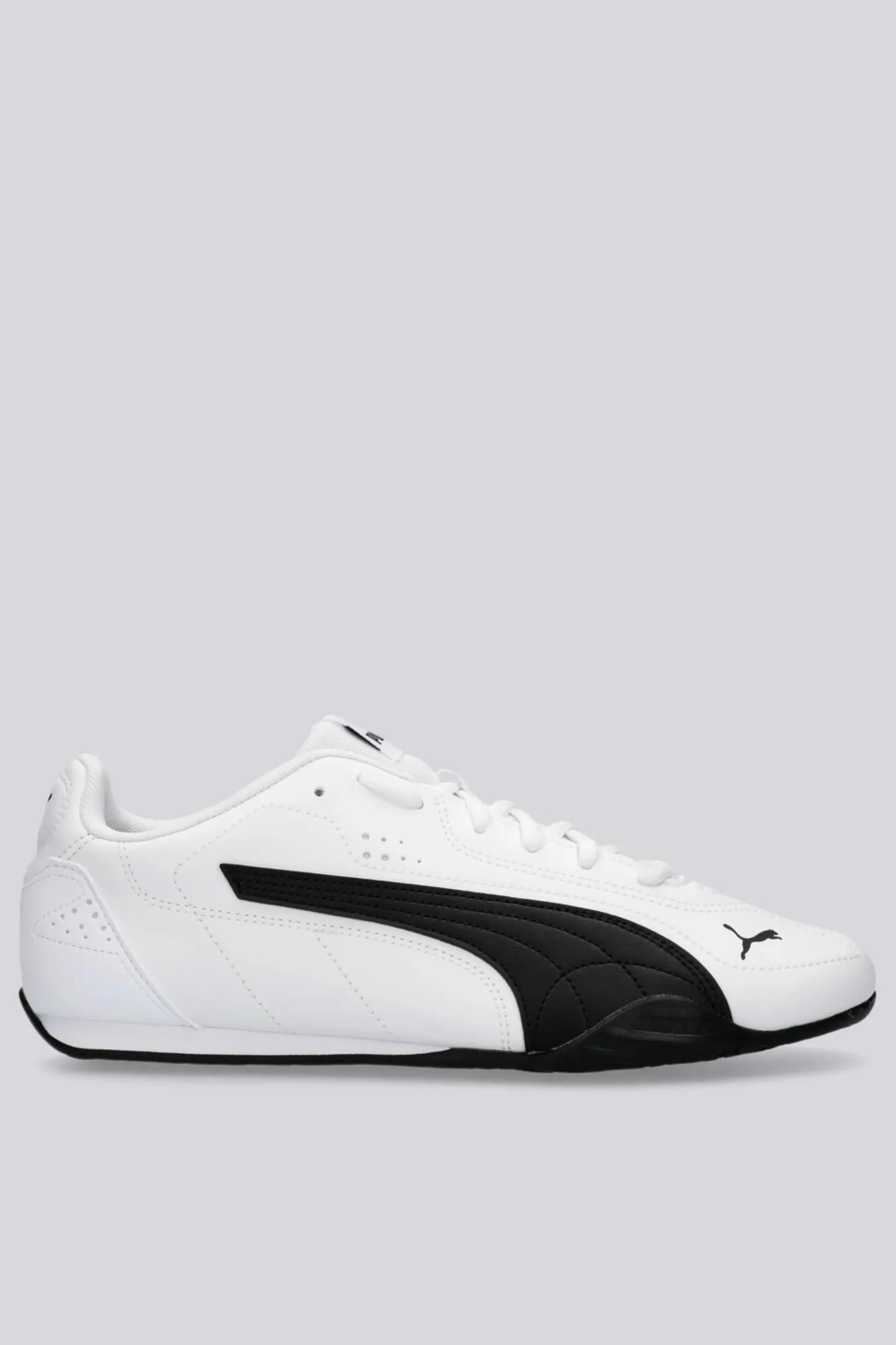 Puma Catch