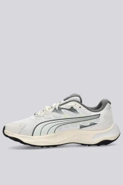 Puma Insphere