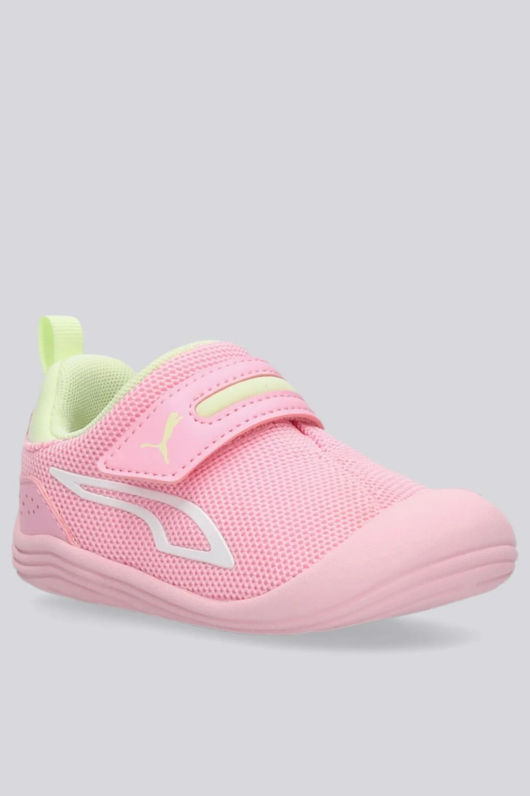 Puma Kitten