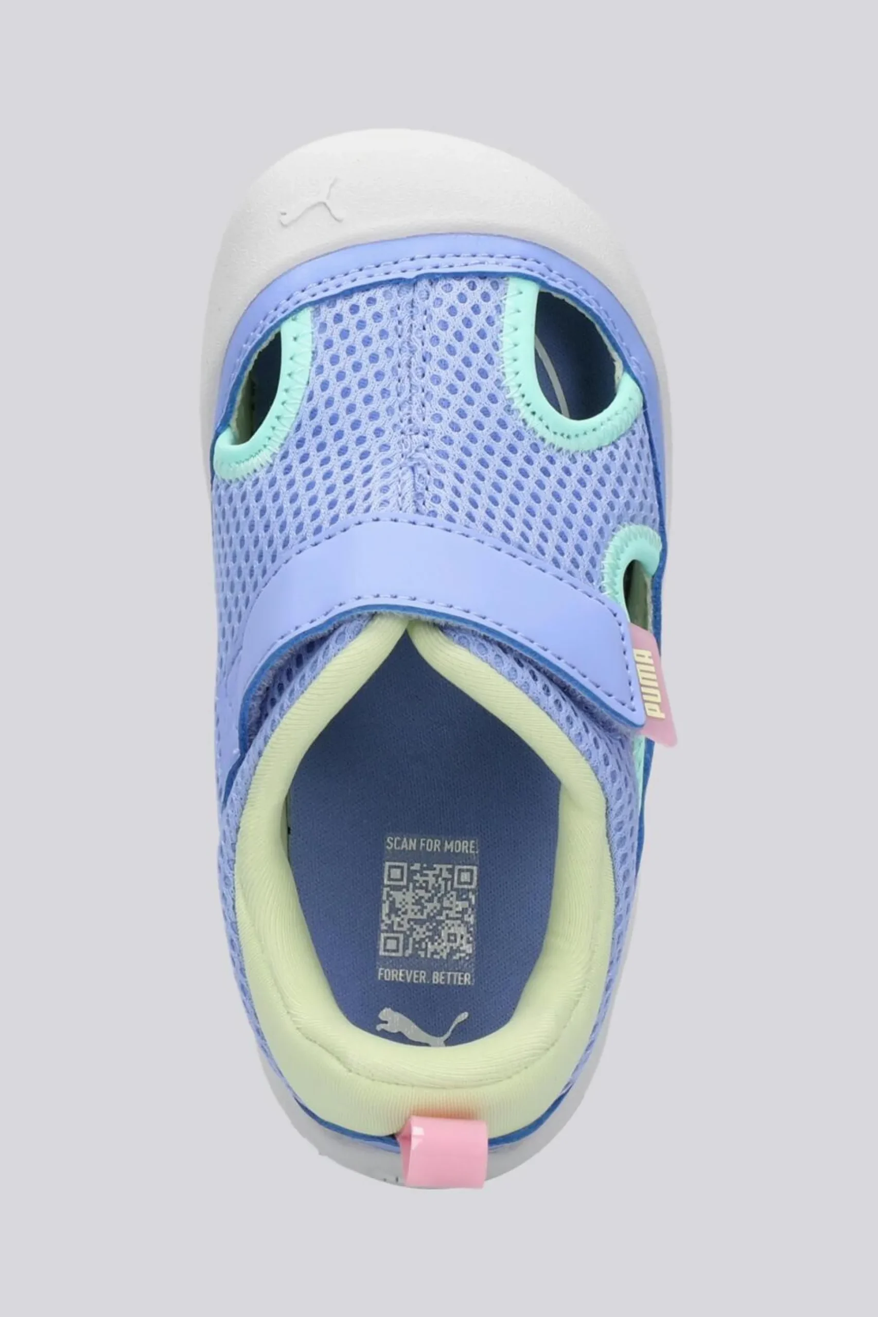 Puma Kitten Summer