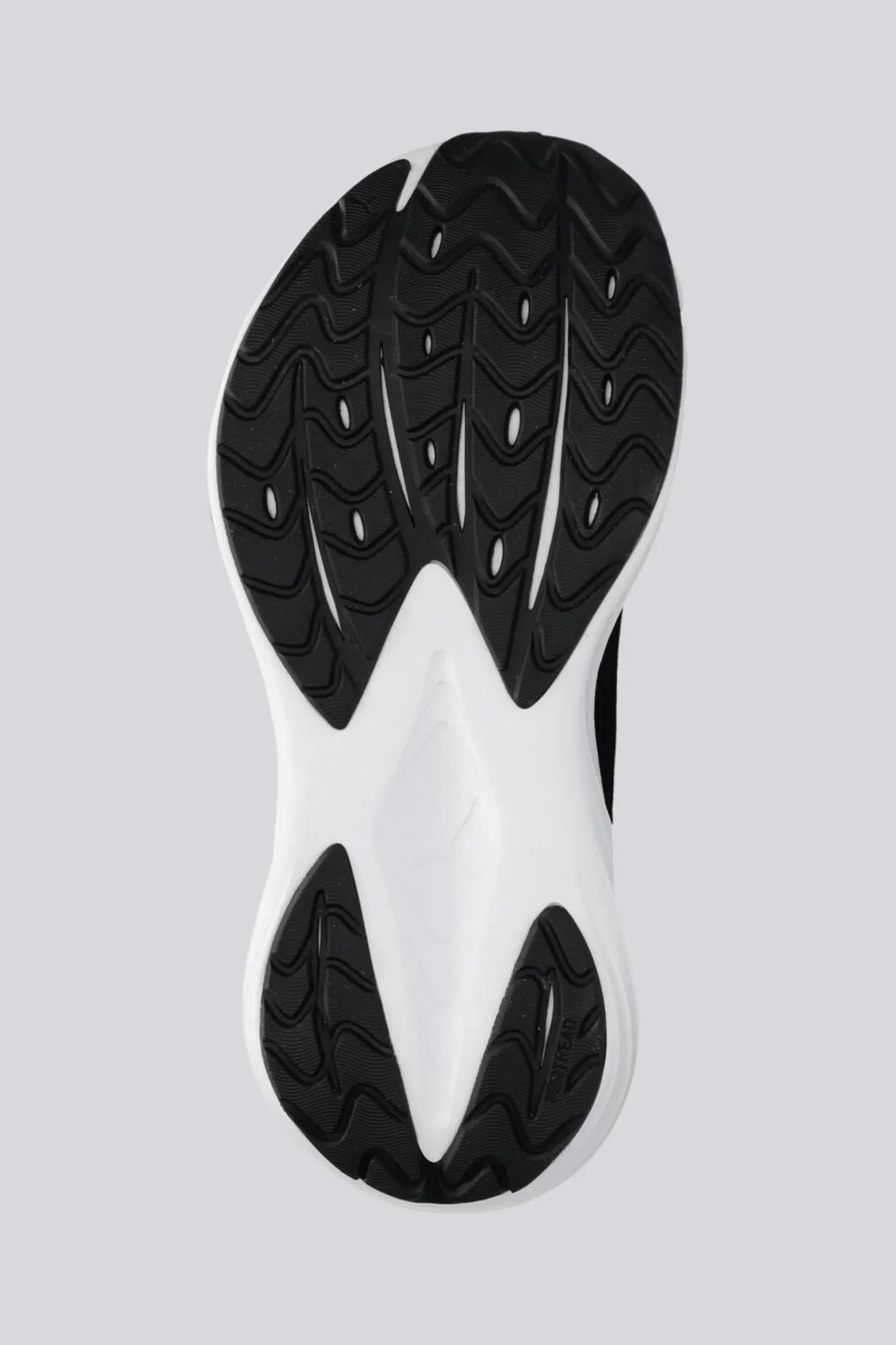 Puma Maxima Pro